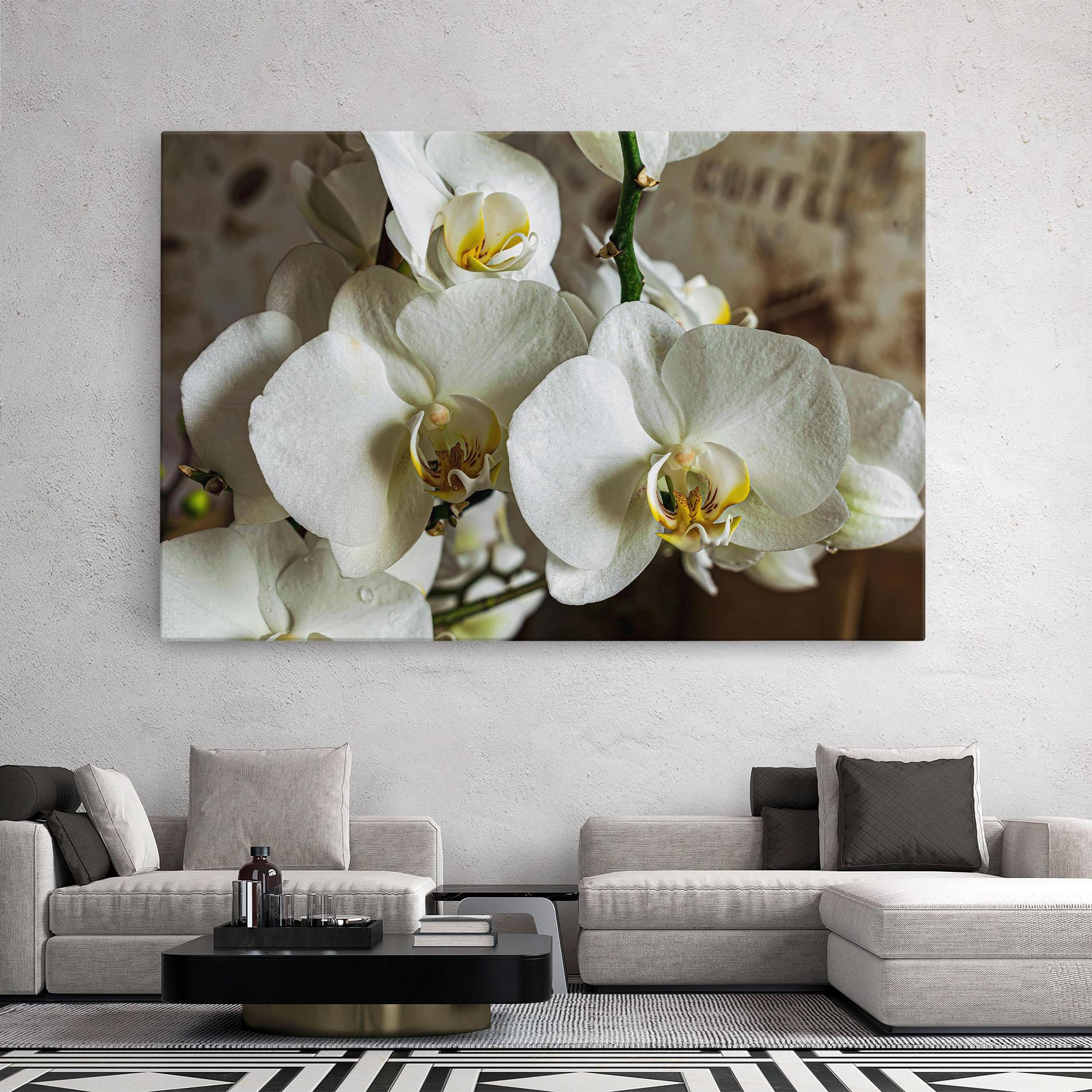 Vászonkép Beautiful White Orchids mockup 2