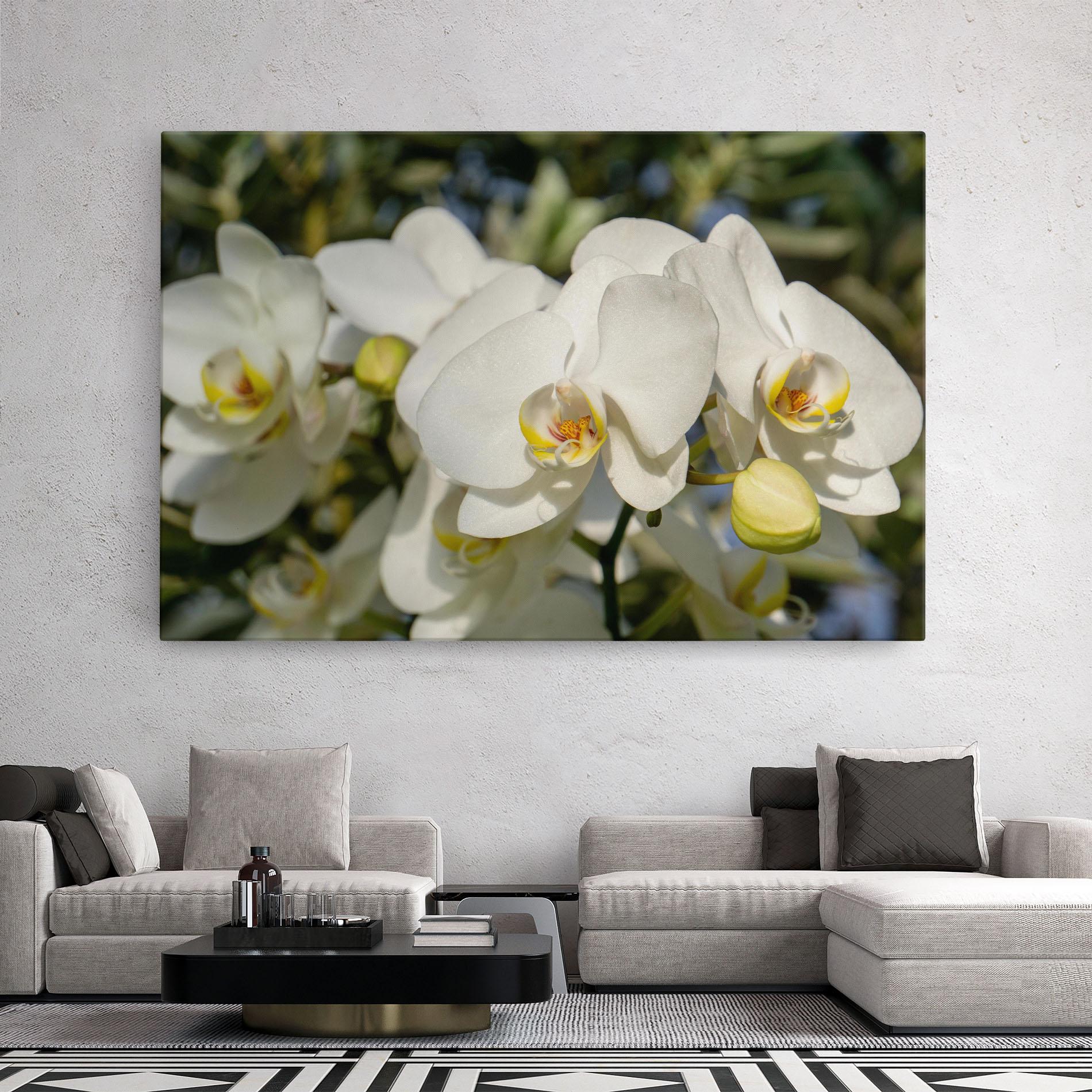 Vászonkép Big Orchids In Nature mockup 2