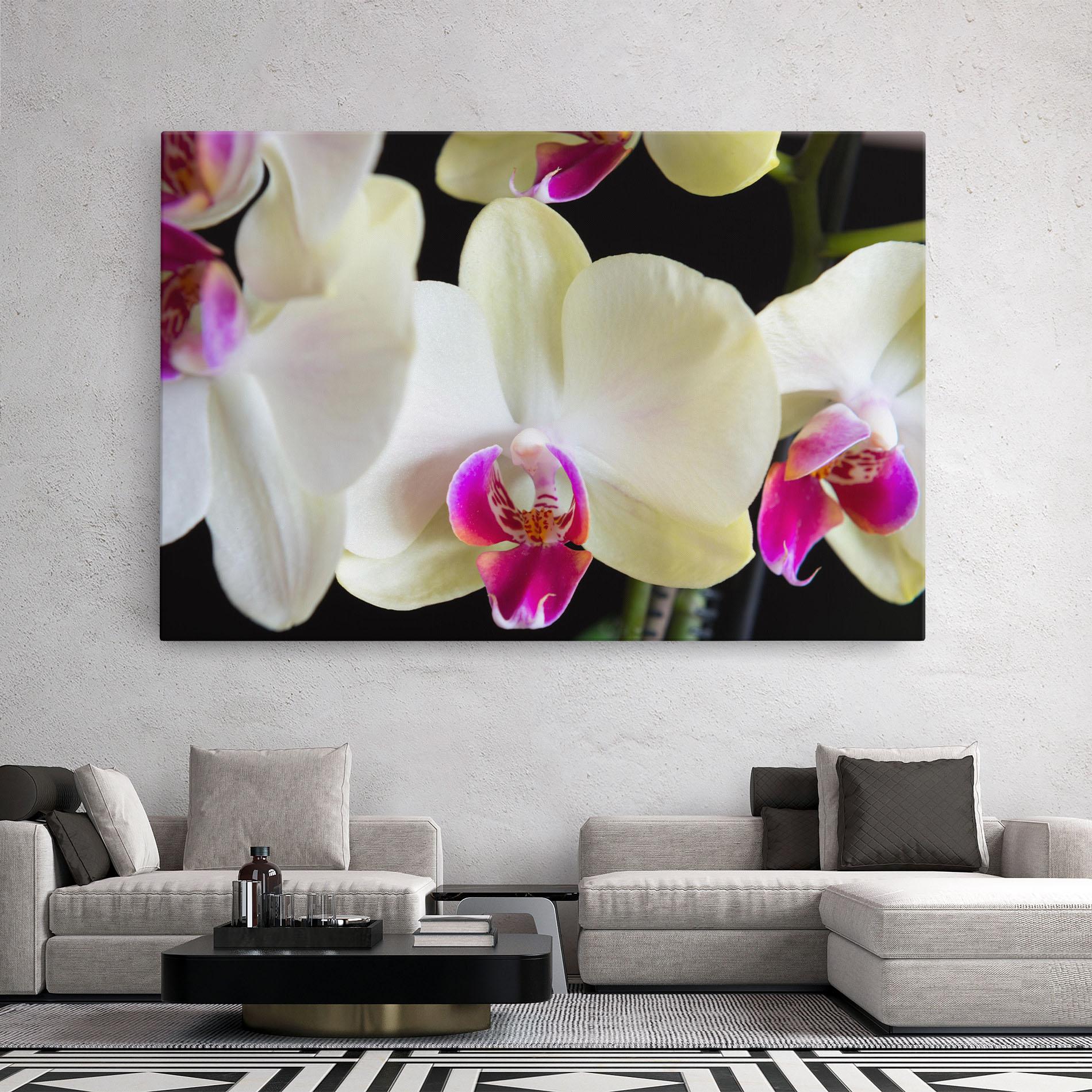 Vászonkép Cream Purple Orchids mockup 2