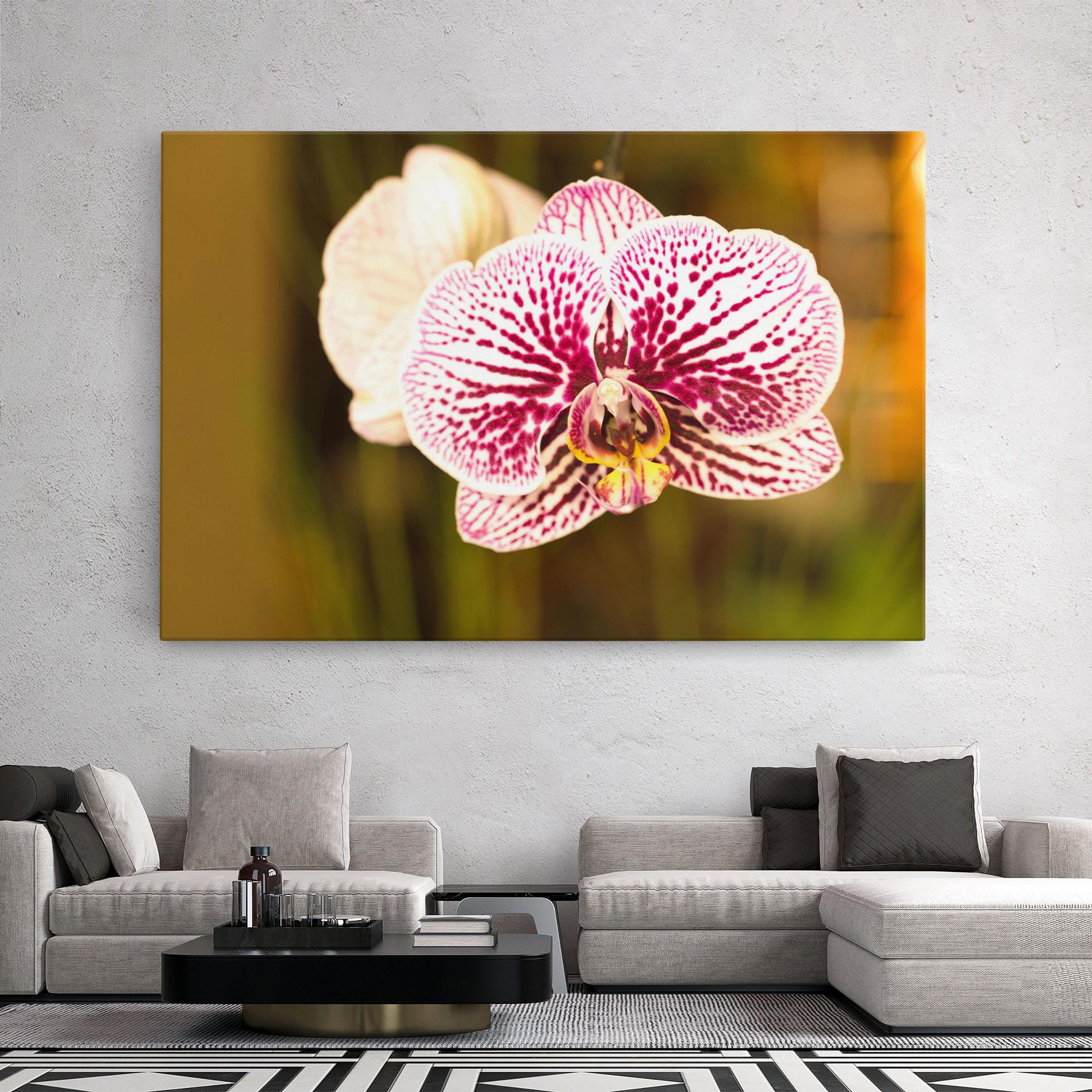 Vászonkép Garden Orchids mockup 2
