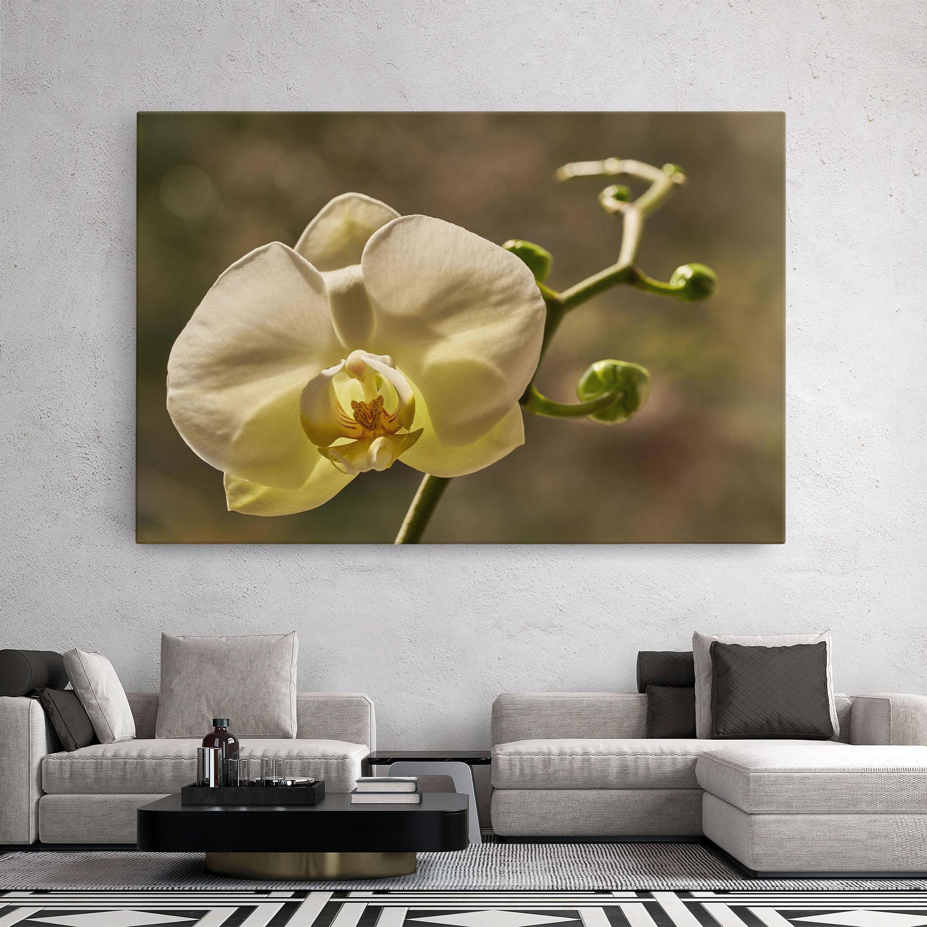 Vászonkép Pastel Yellow Orchid In Garden mockup 2