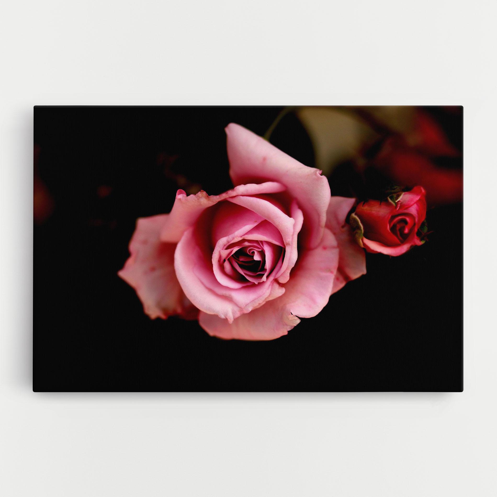 Vászonkép Opened Pink Rose mockup 0