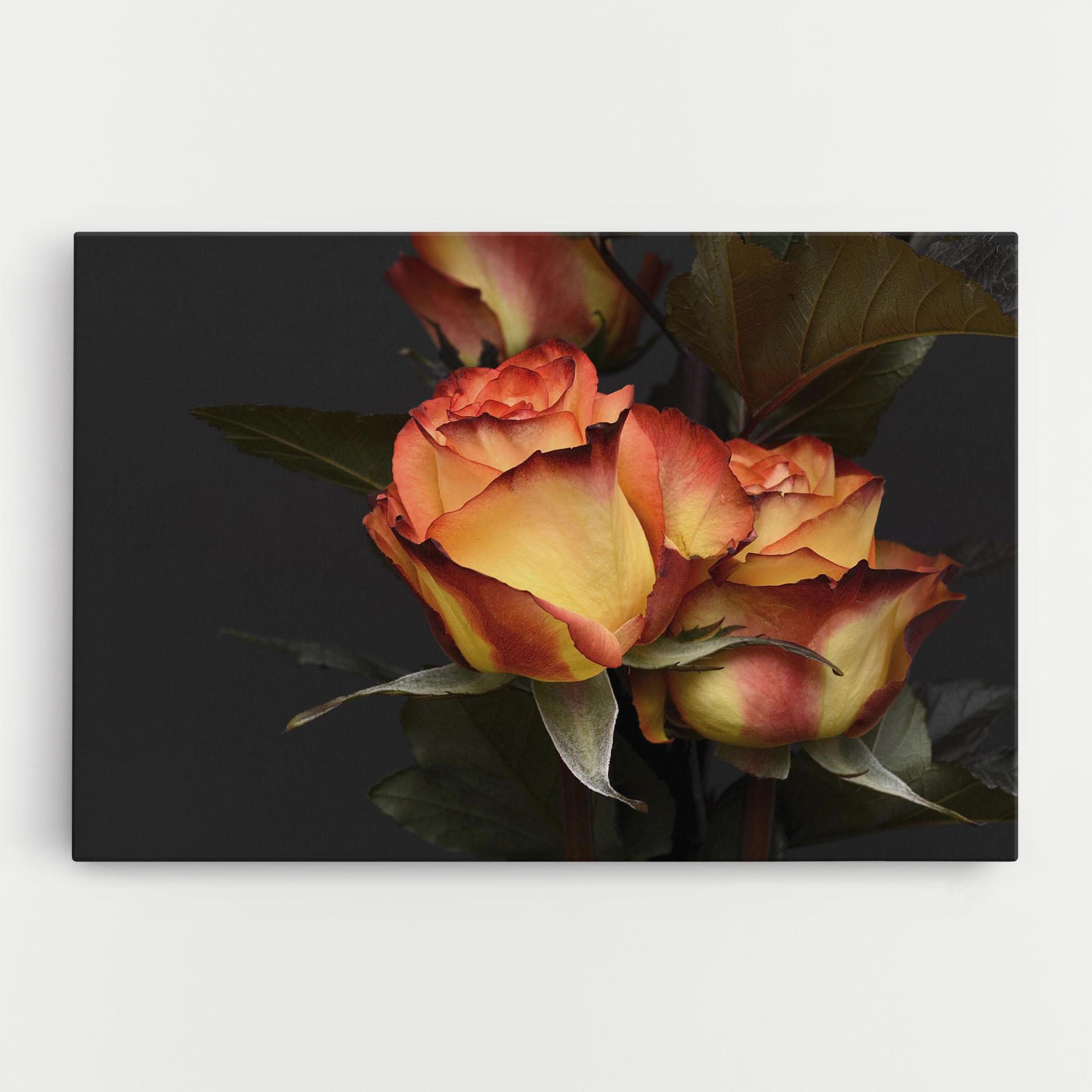 Vászonkép Orange Rose mockup 0