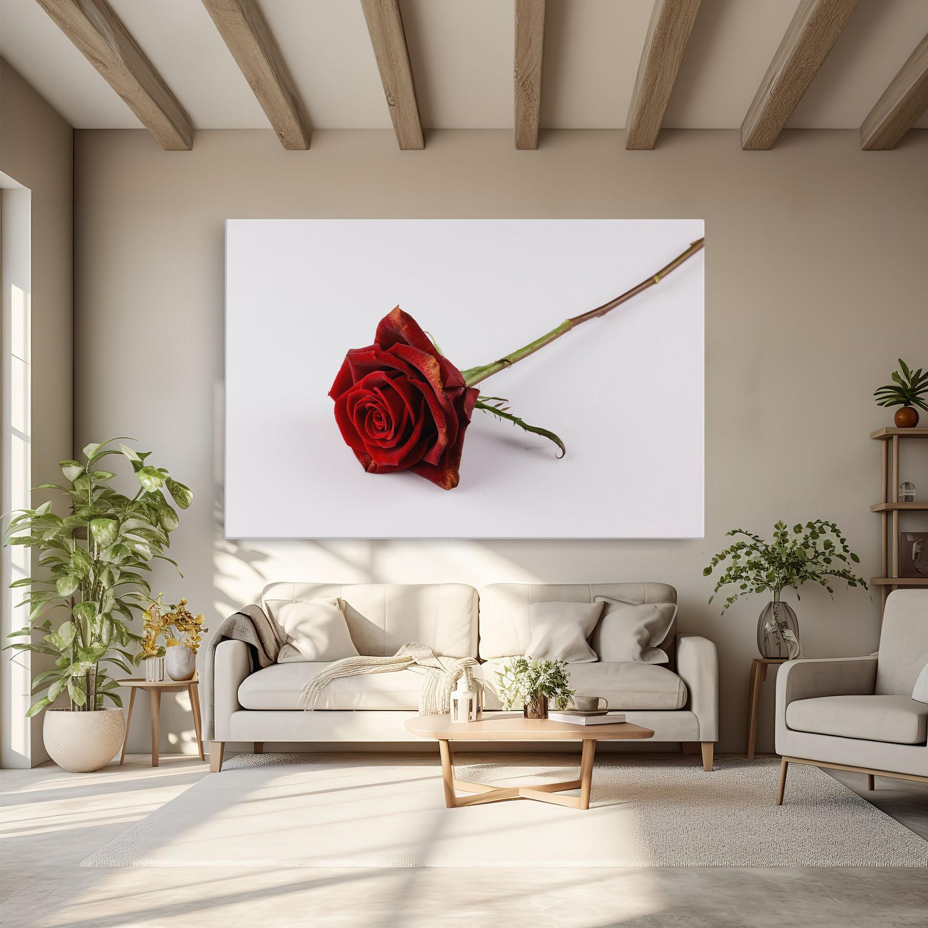 Vászonkép Lonely Rose mockup 6