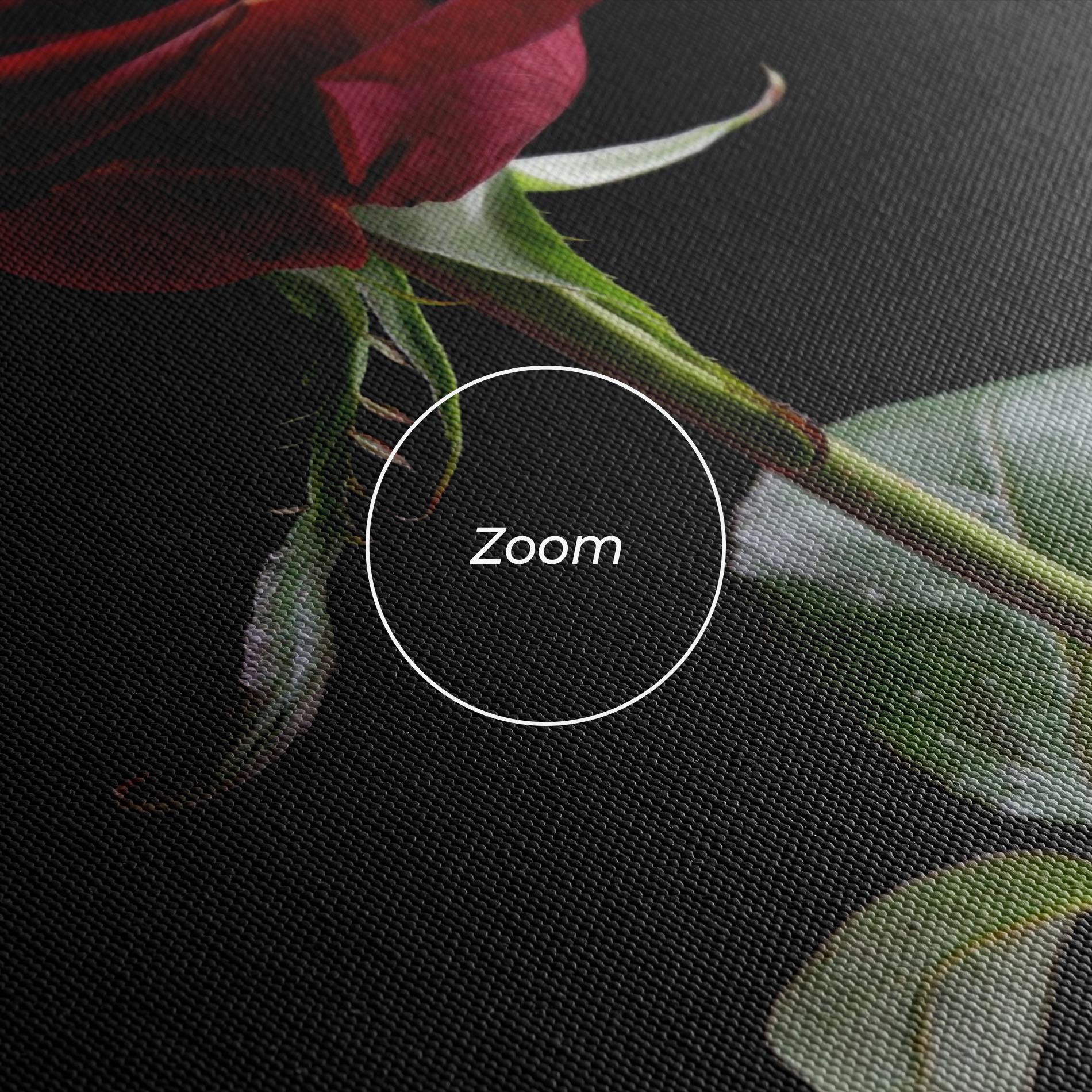 Vászonkép Beautiful Red Rose mockup 3