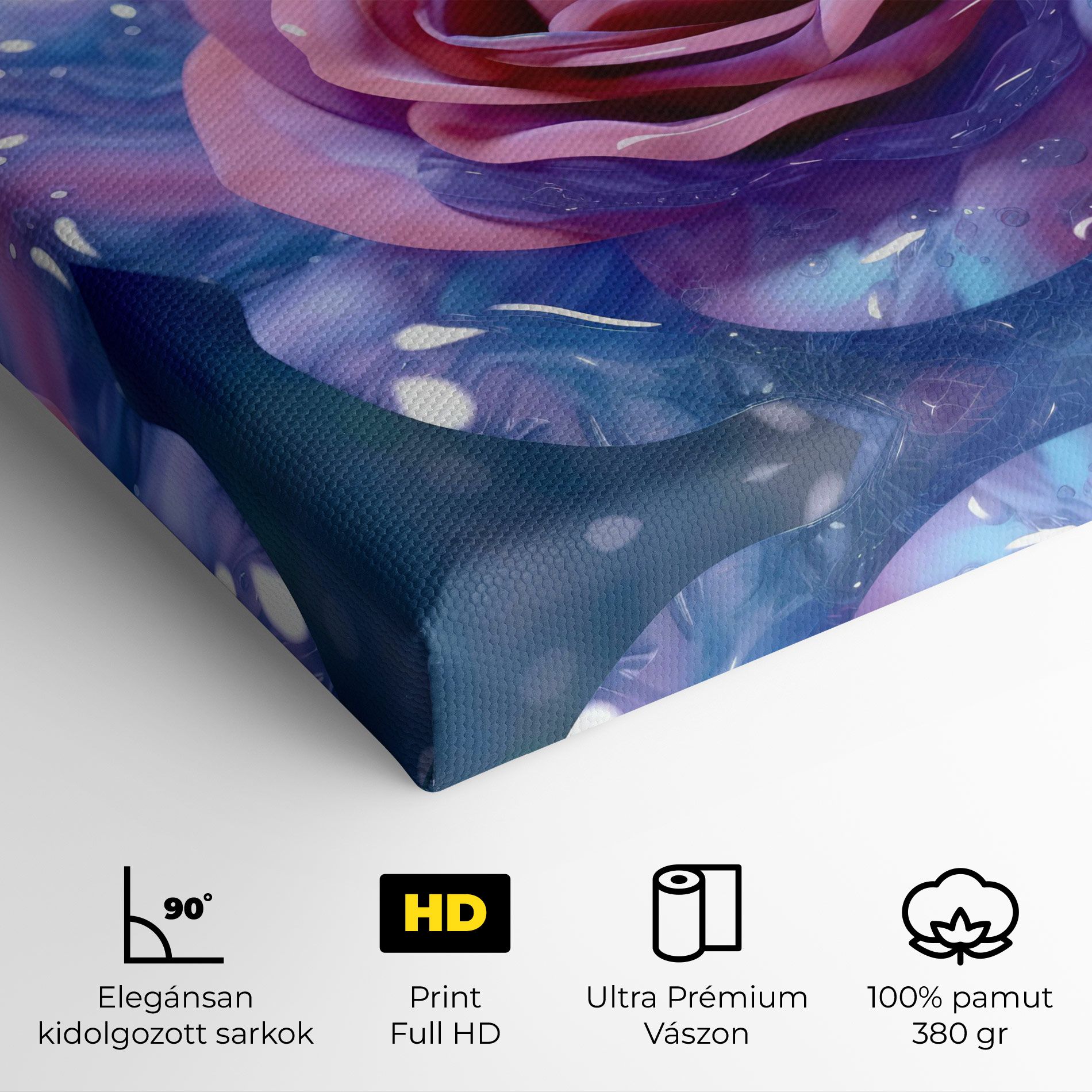 Beautiful Blue Pink Rose mockup 4