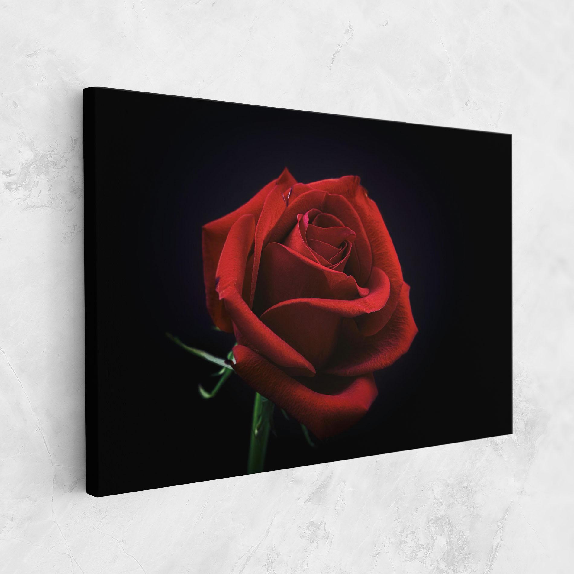 Vászonkép Red Rose Close Up mockup 1