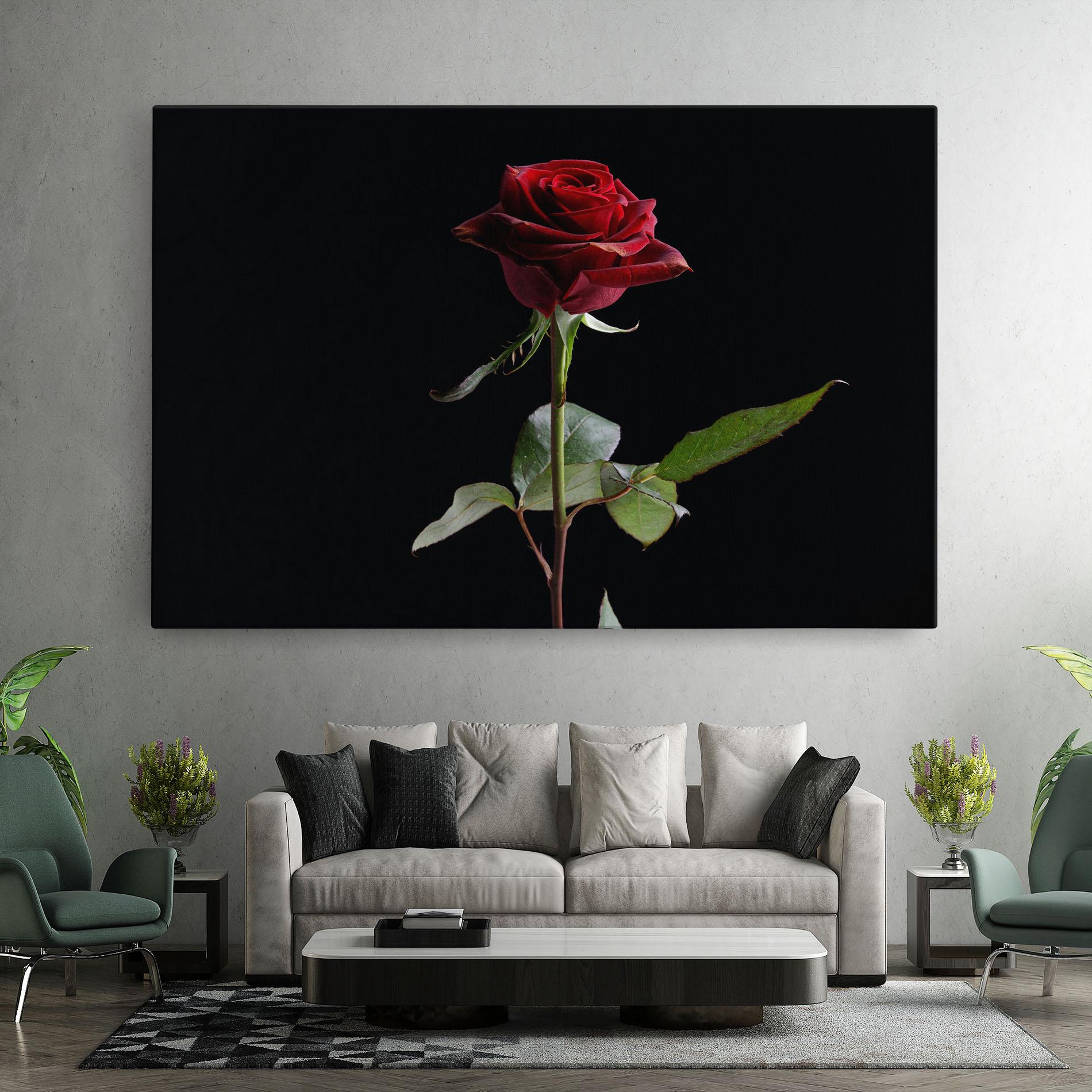 Vászonkép Beautiful Red Rose mockup 7
