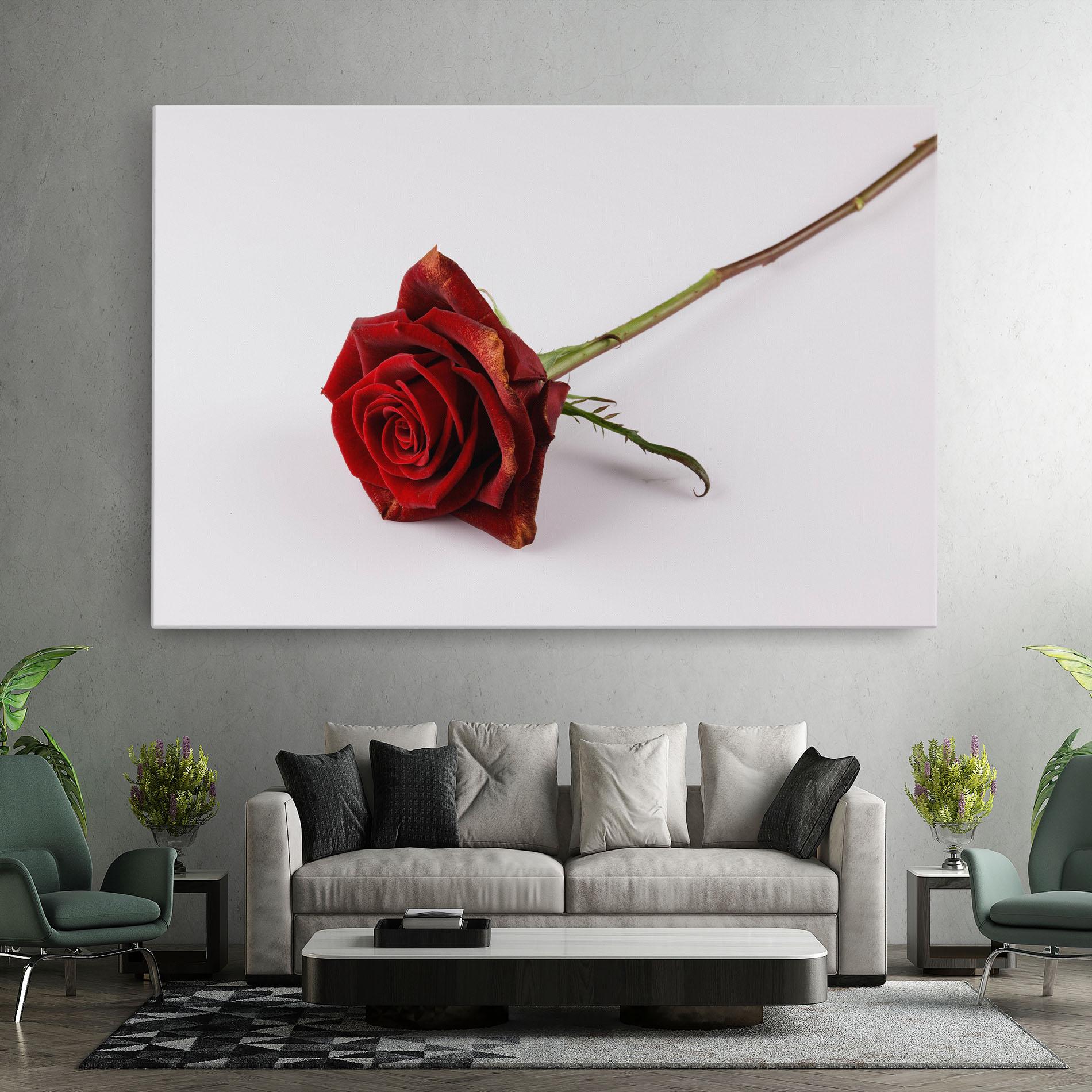 Vászonkép Lonely Rose mockup 7