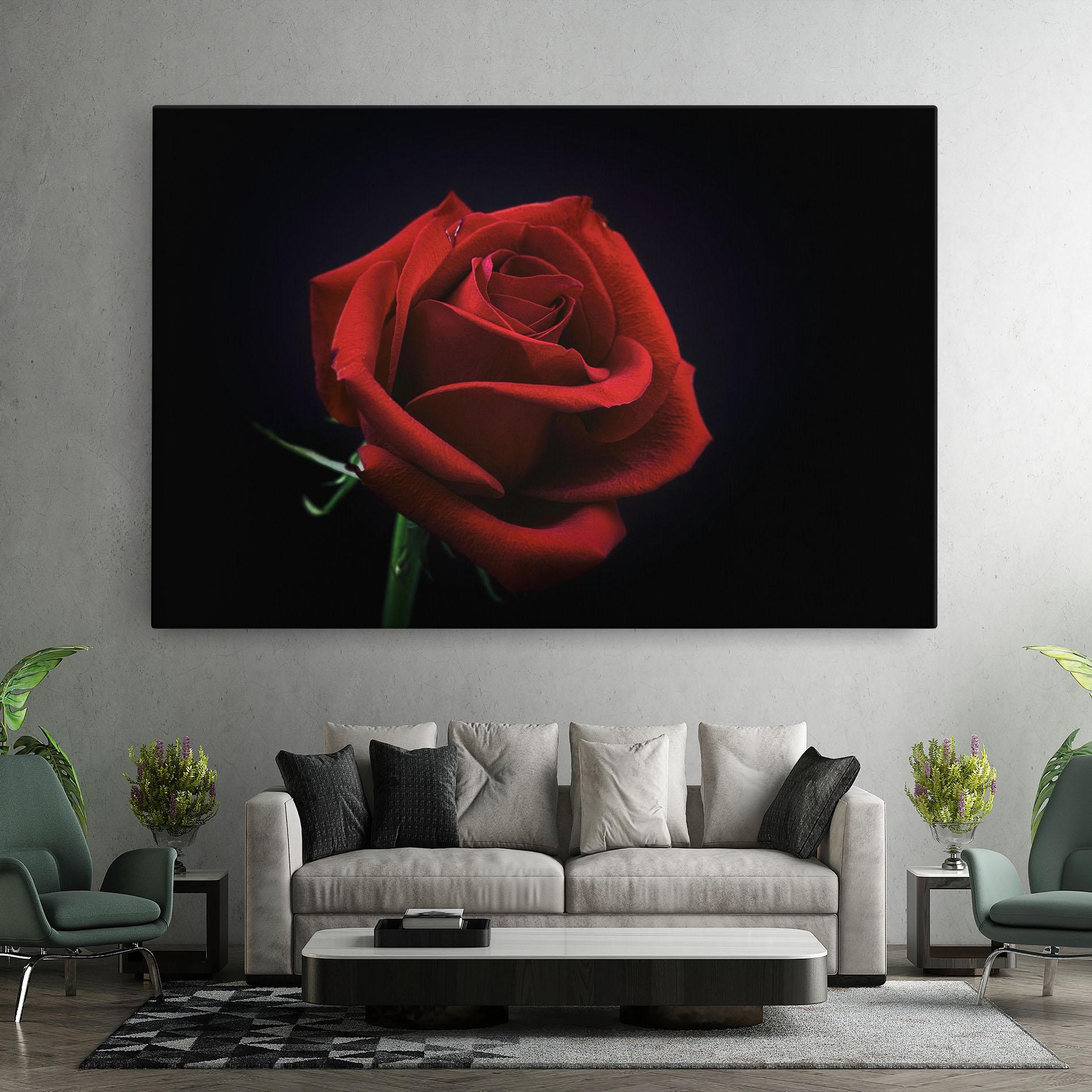 Vászonkép Red Rose Close Up mockup 7