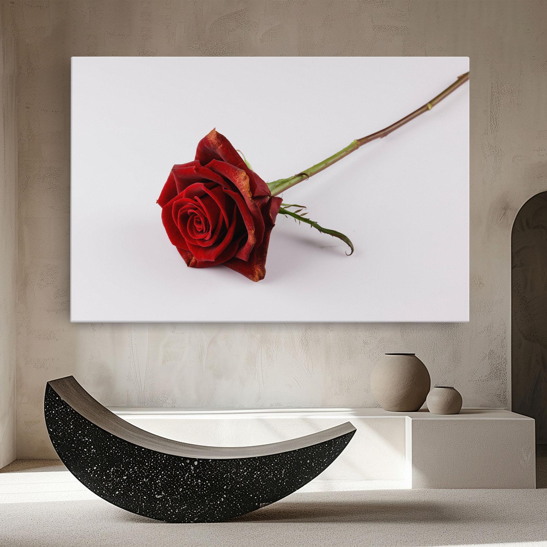 Vászonkép Lonely Rose mockup 8