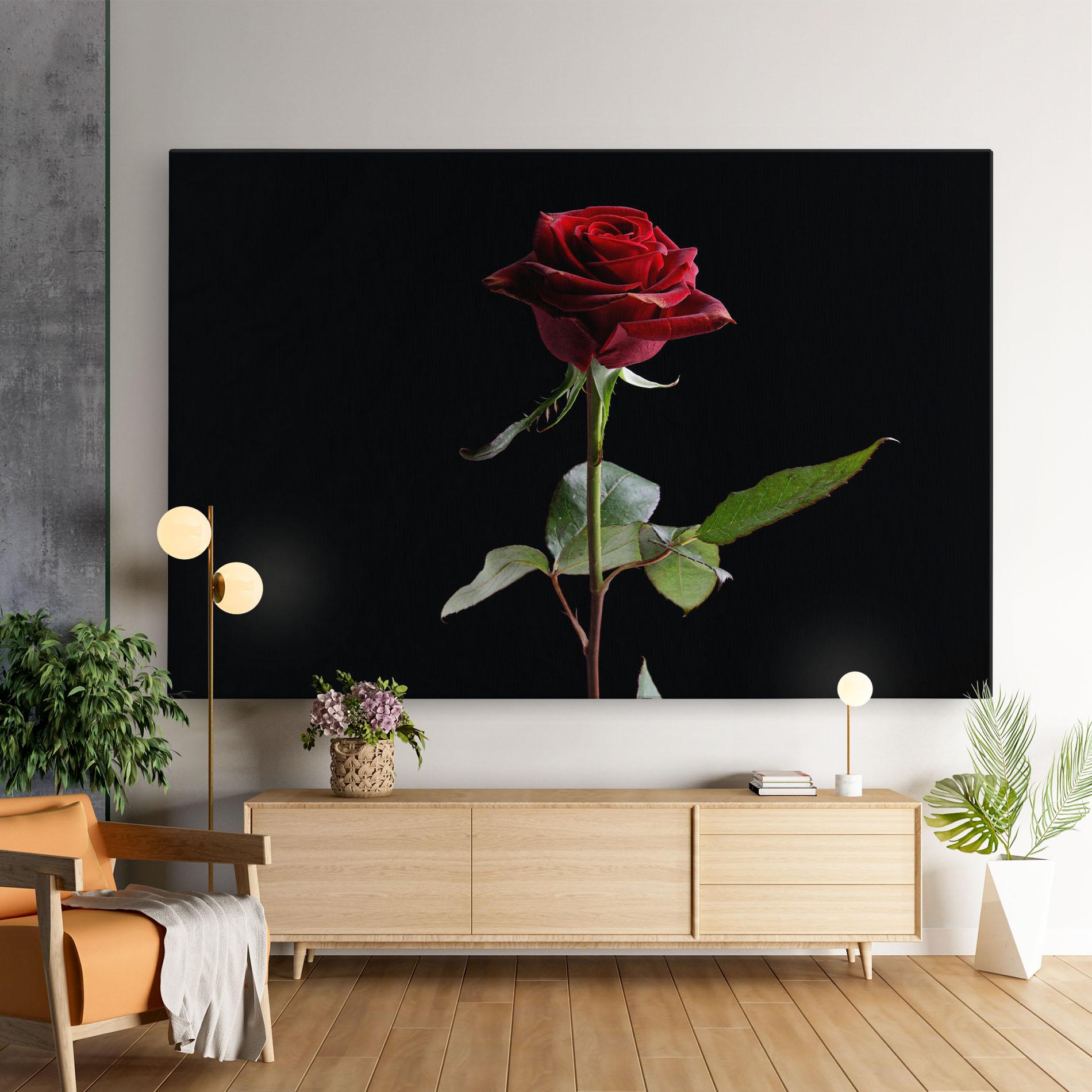 Vászonkép Beautiful Red Rose mockup 9