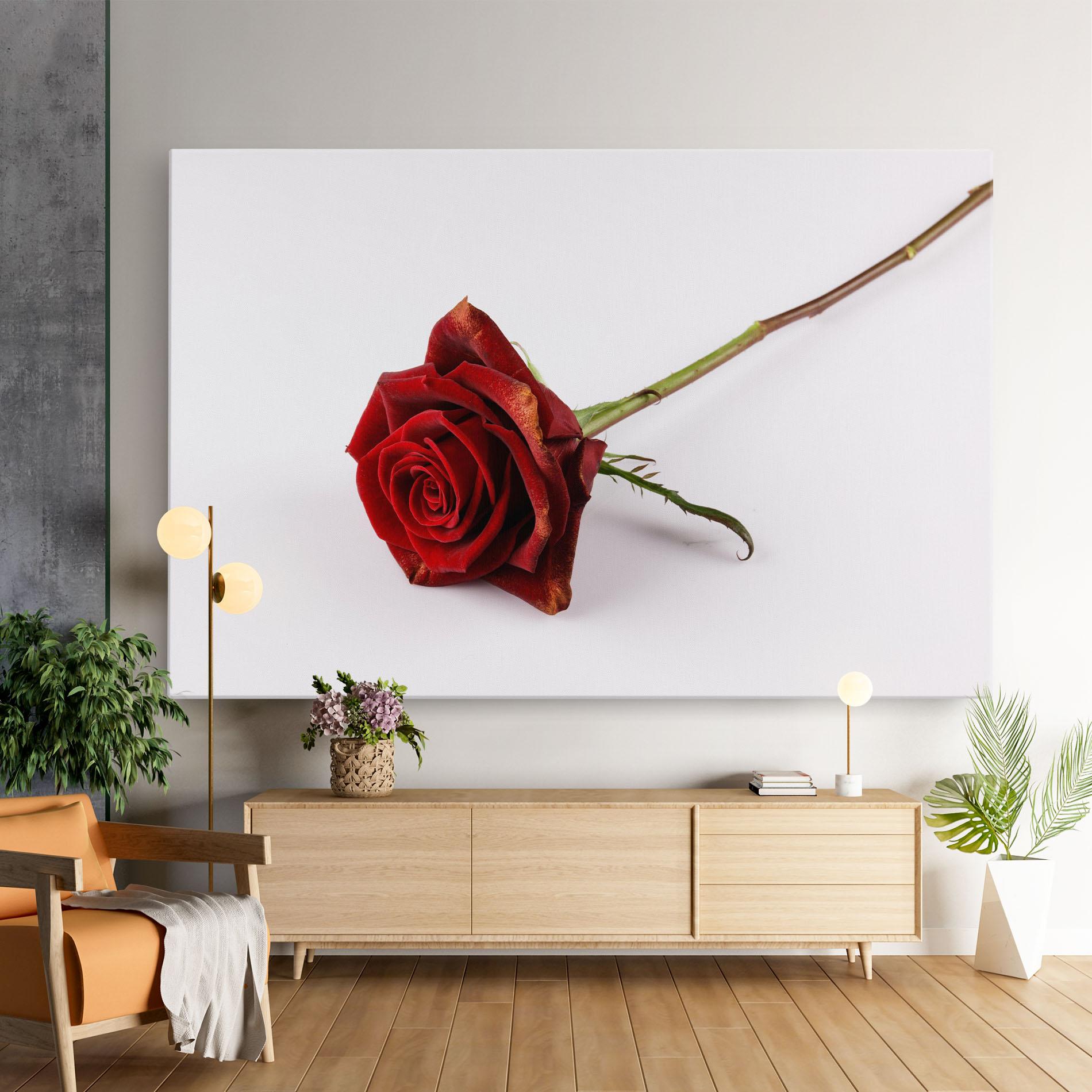 Vászonkép Lonely Rose mockup 9