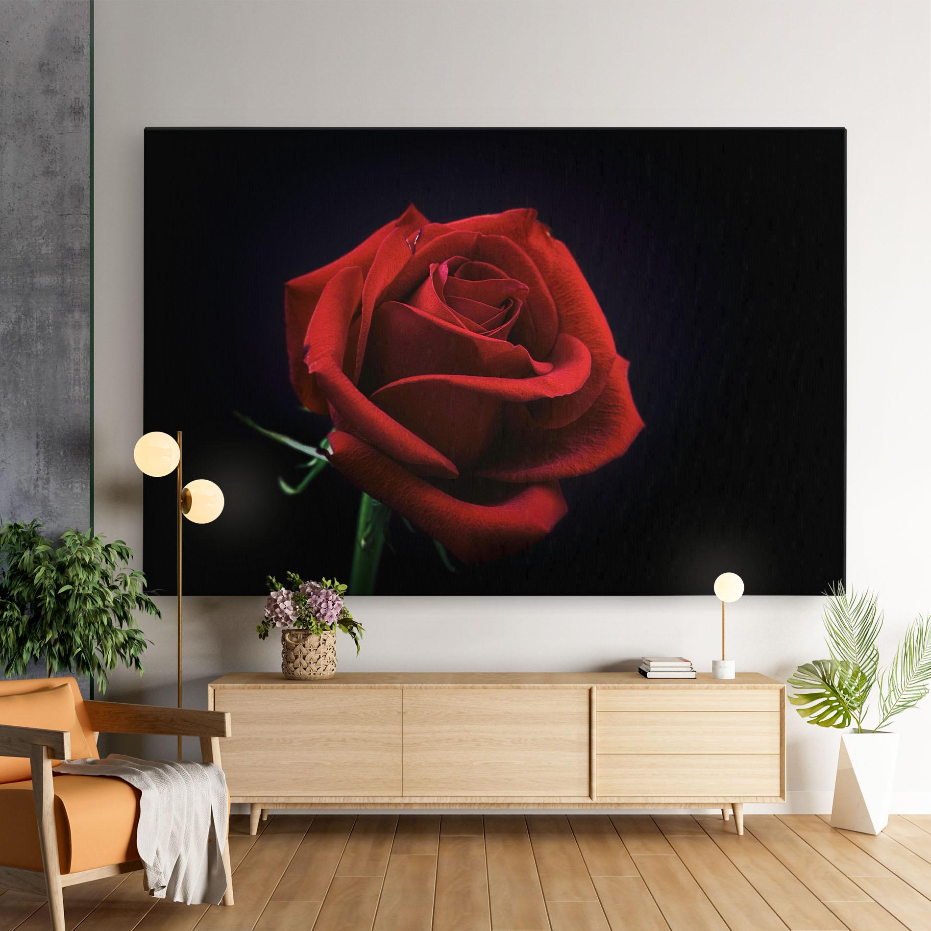 Vászonkép Red Rose Close Up mockup 9