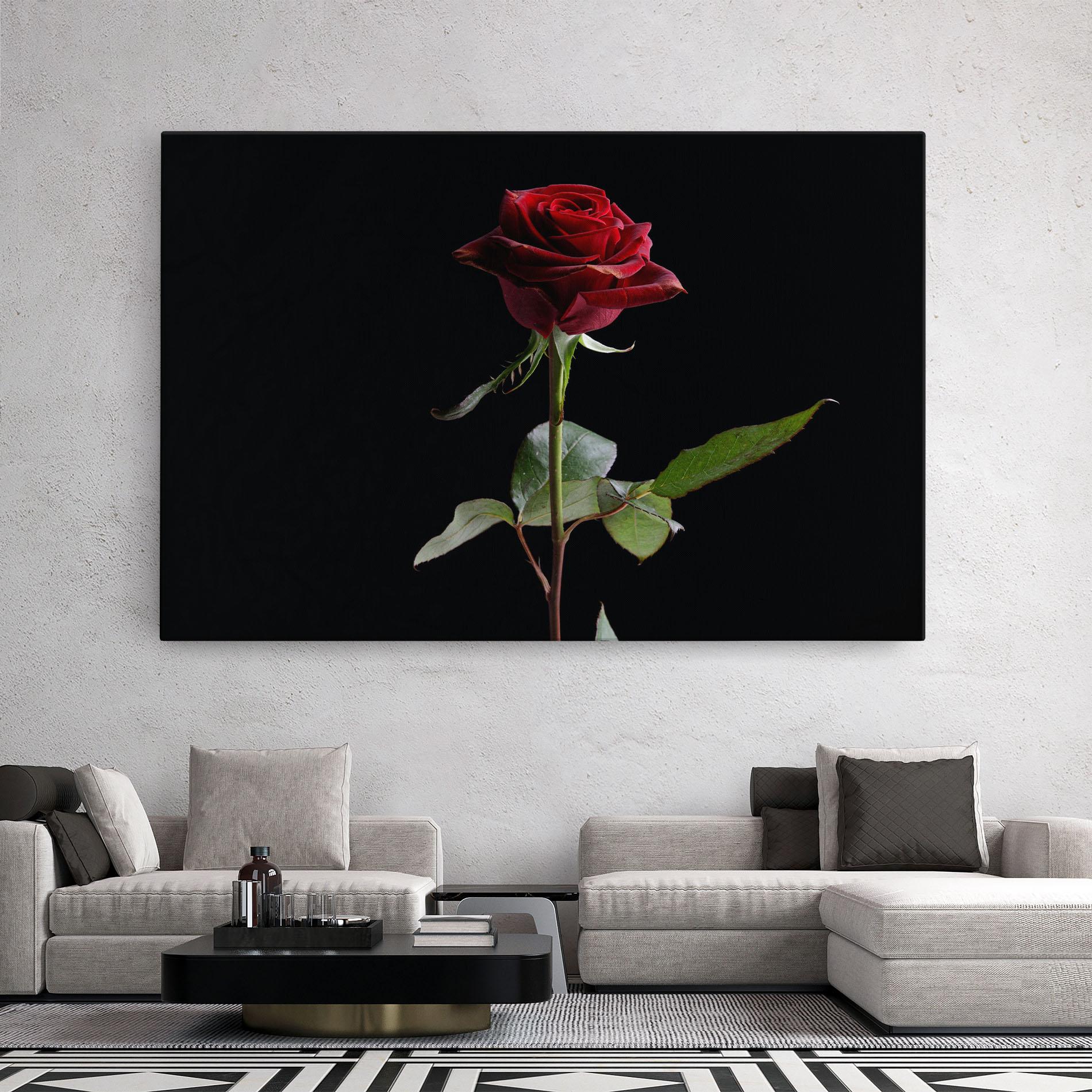 Vászonkép Beautiful Red Rose mockup 2