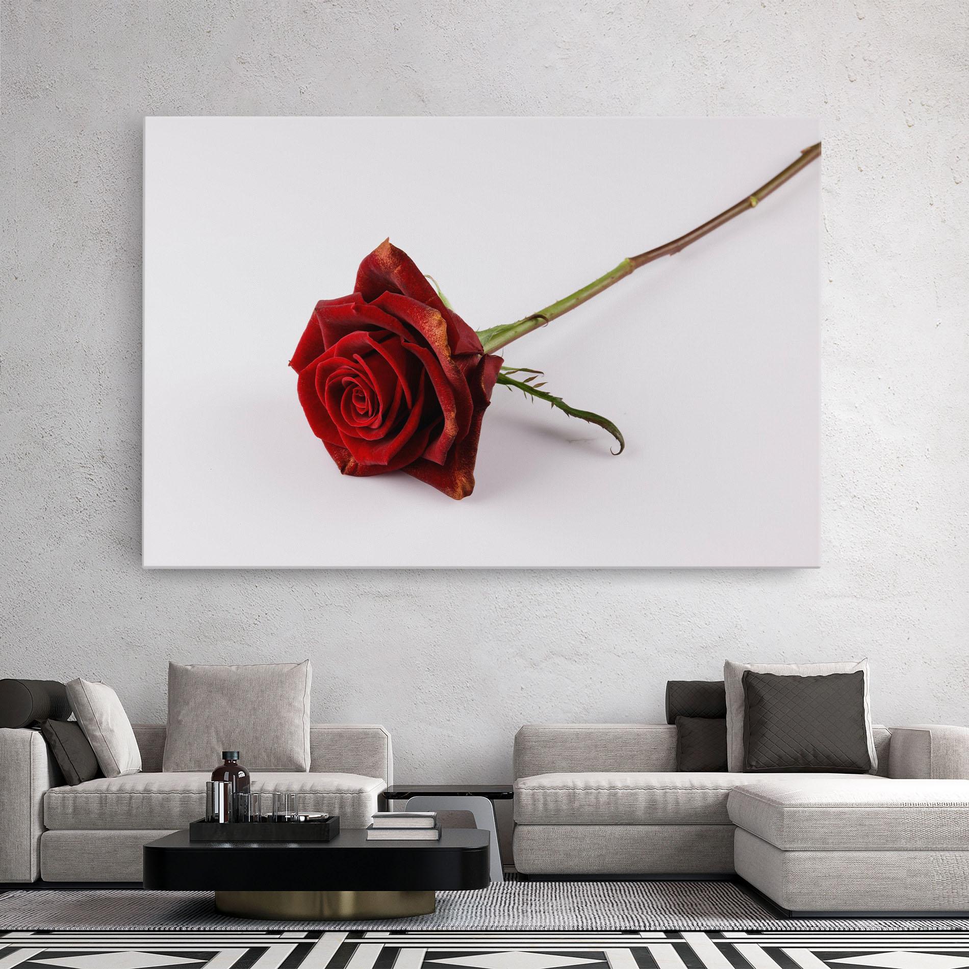 Vászonkép Lonely Rose mockup 2
