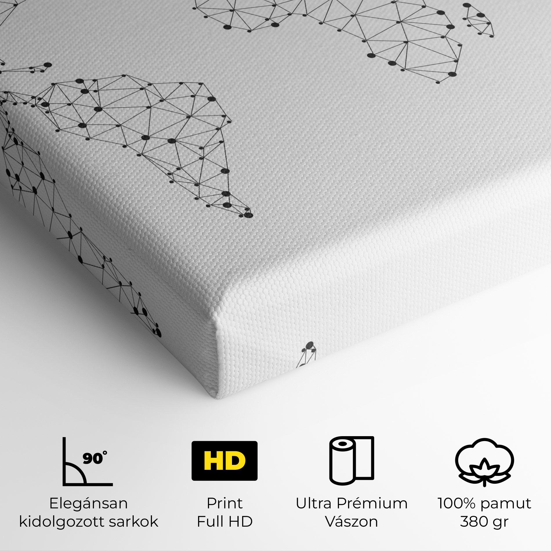 Vászonkép Black Map Line mockup 4