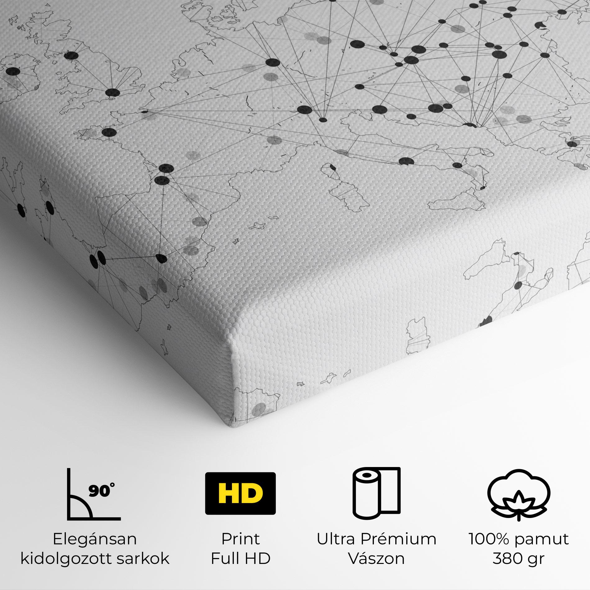 Vászonkép Europe Line Map mockup 4