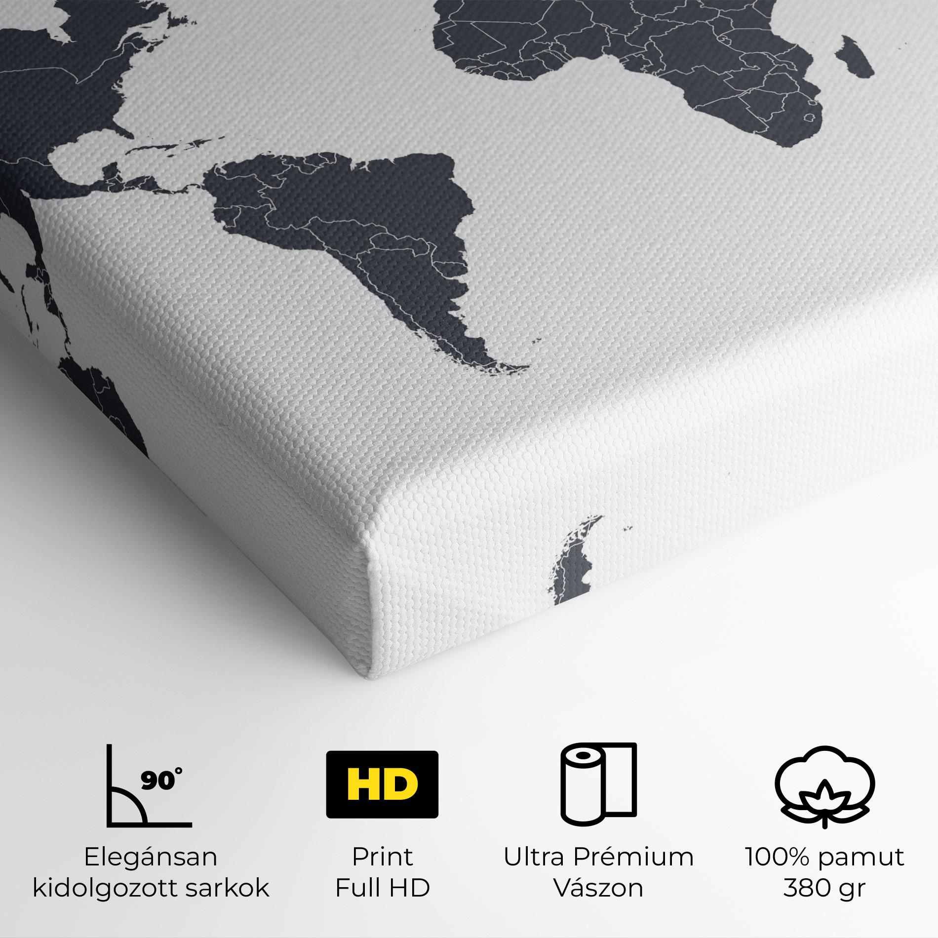 Vászonkép World Grey Map mockup 4