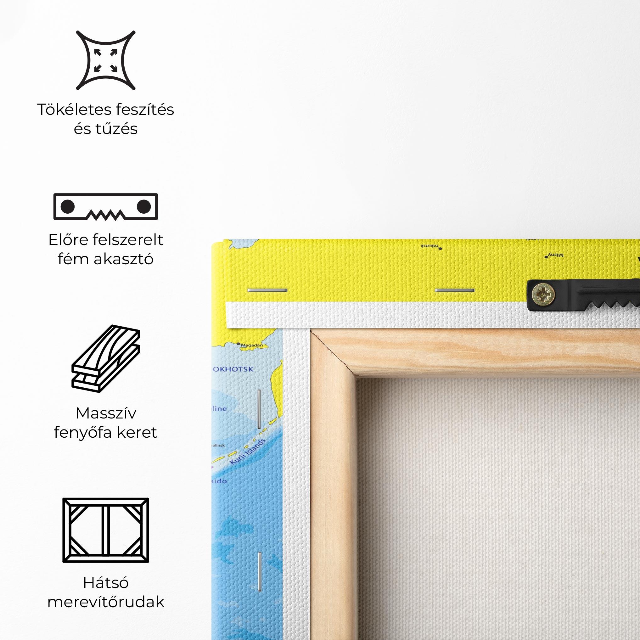 Vászonkép Asia Color Map mockup 5