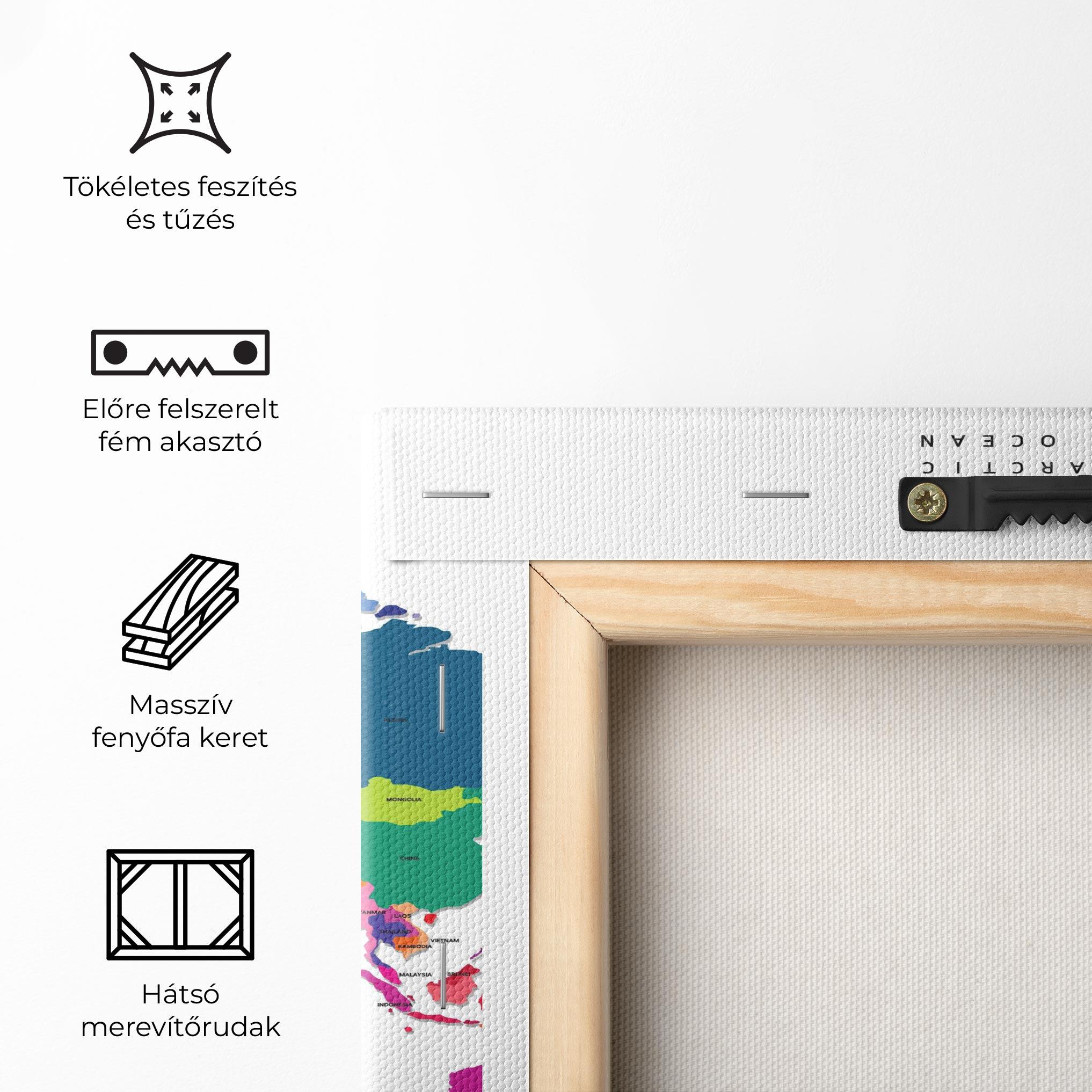 Vászonkép Colored Continents Map mockup 5