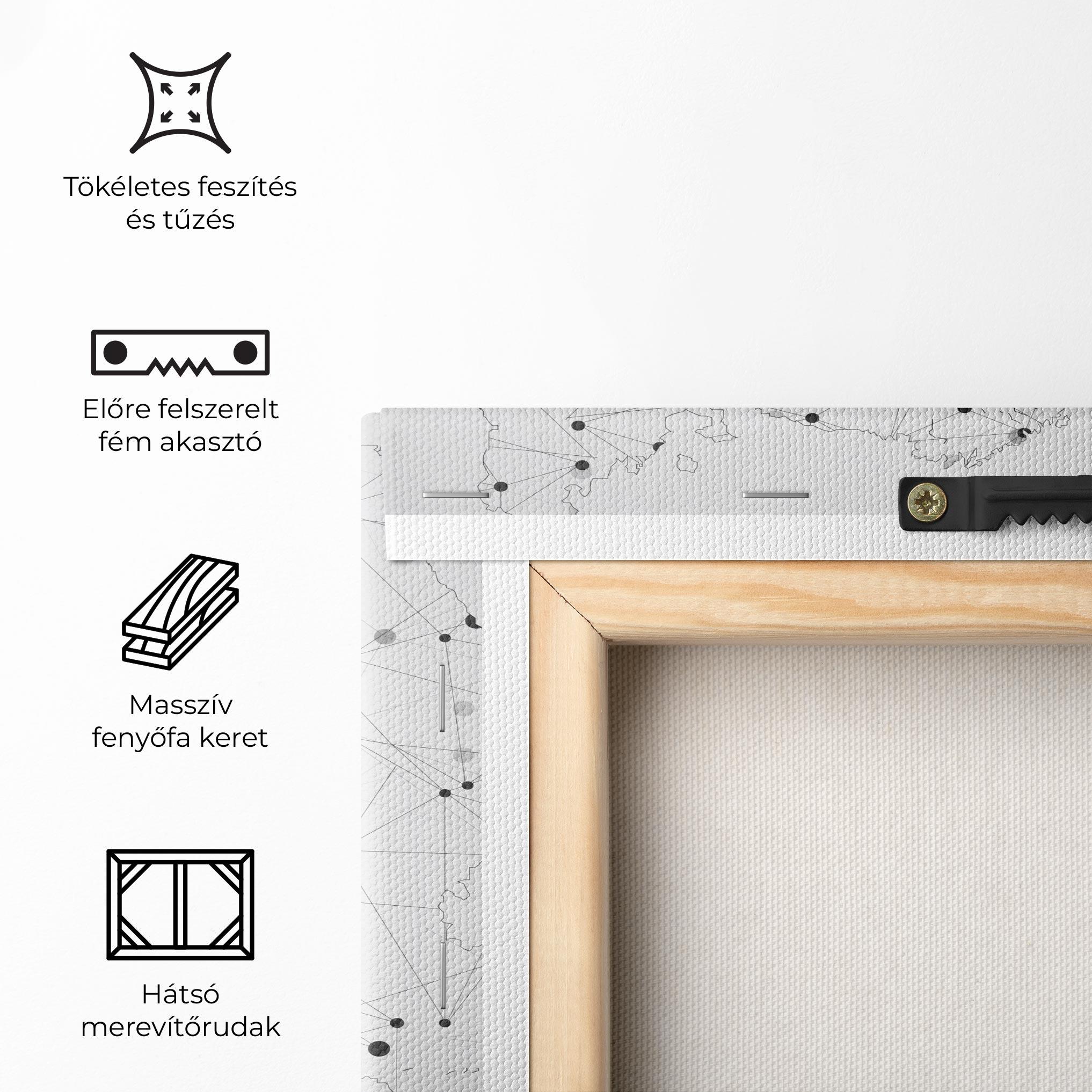 Vászonkép Europe Line Map mockup 5