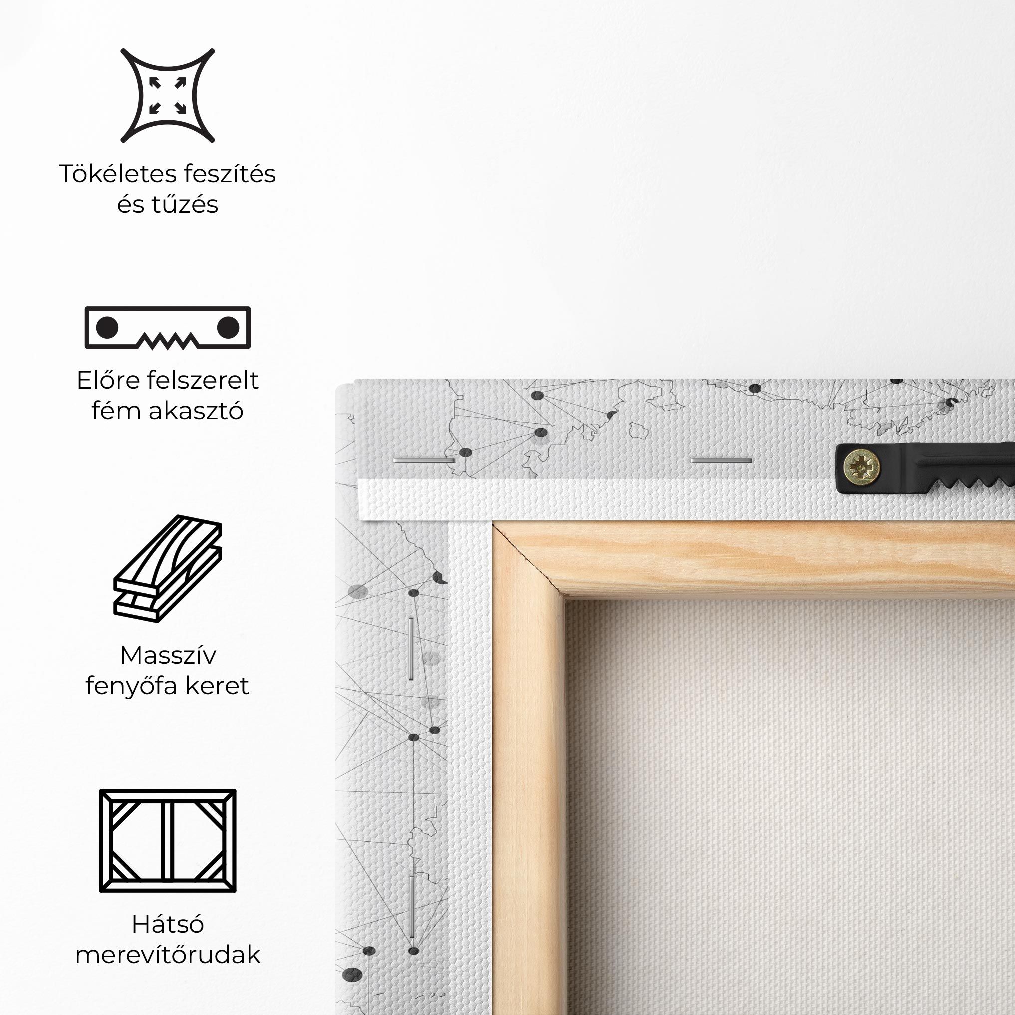 Europe Line Map mockup 5
