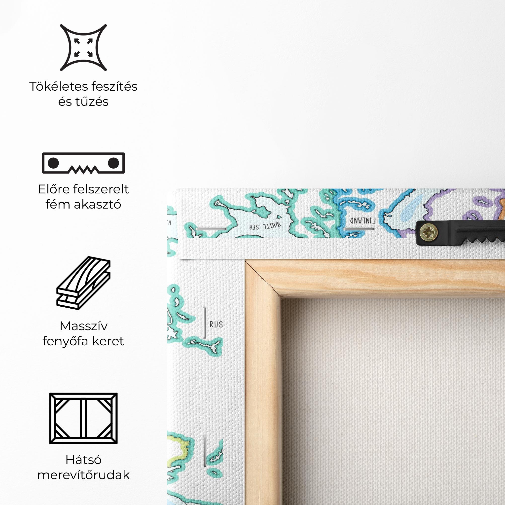 Vászonkép Europe Map mockup 5