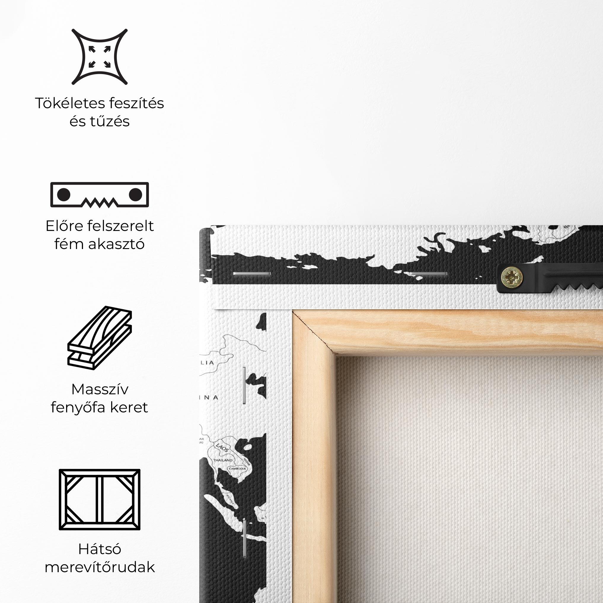 Vászonkép White World Map mockup 5