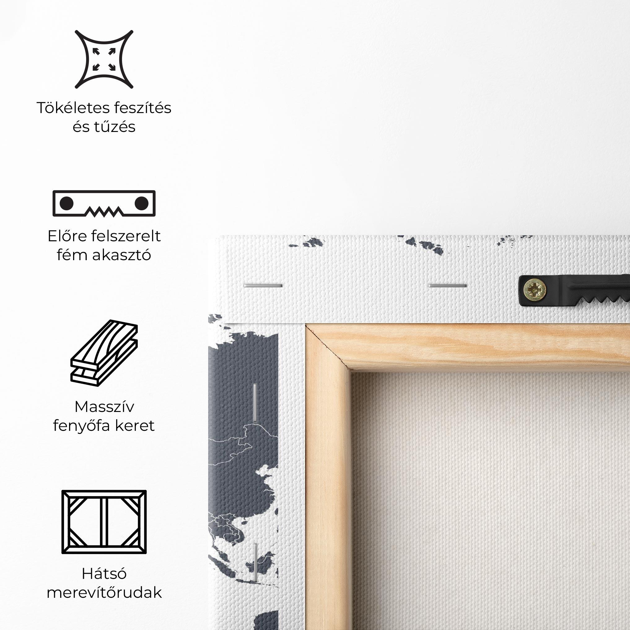 Vászonkép World Grey Map mockup 5