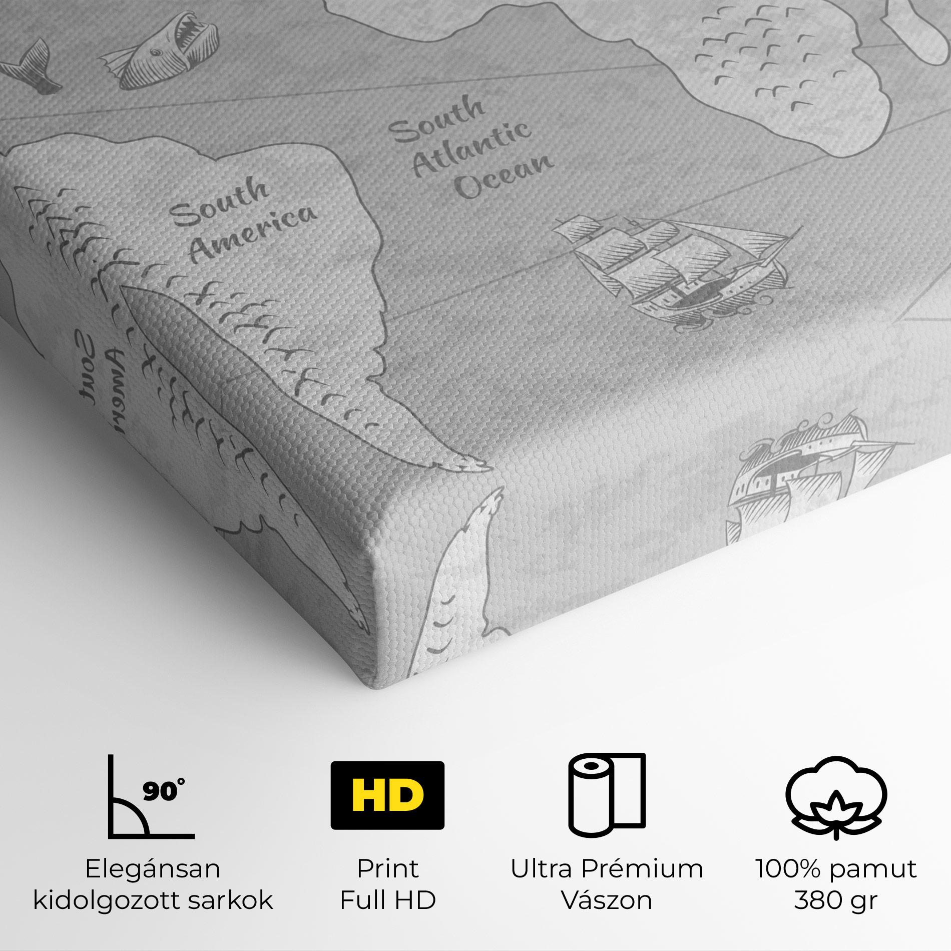 Vászonkép Grey Old Map mockup 4
