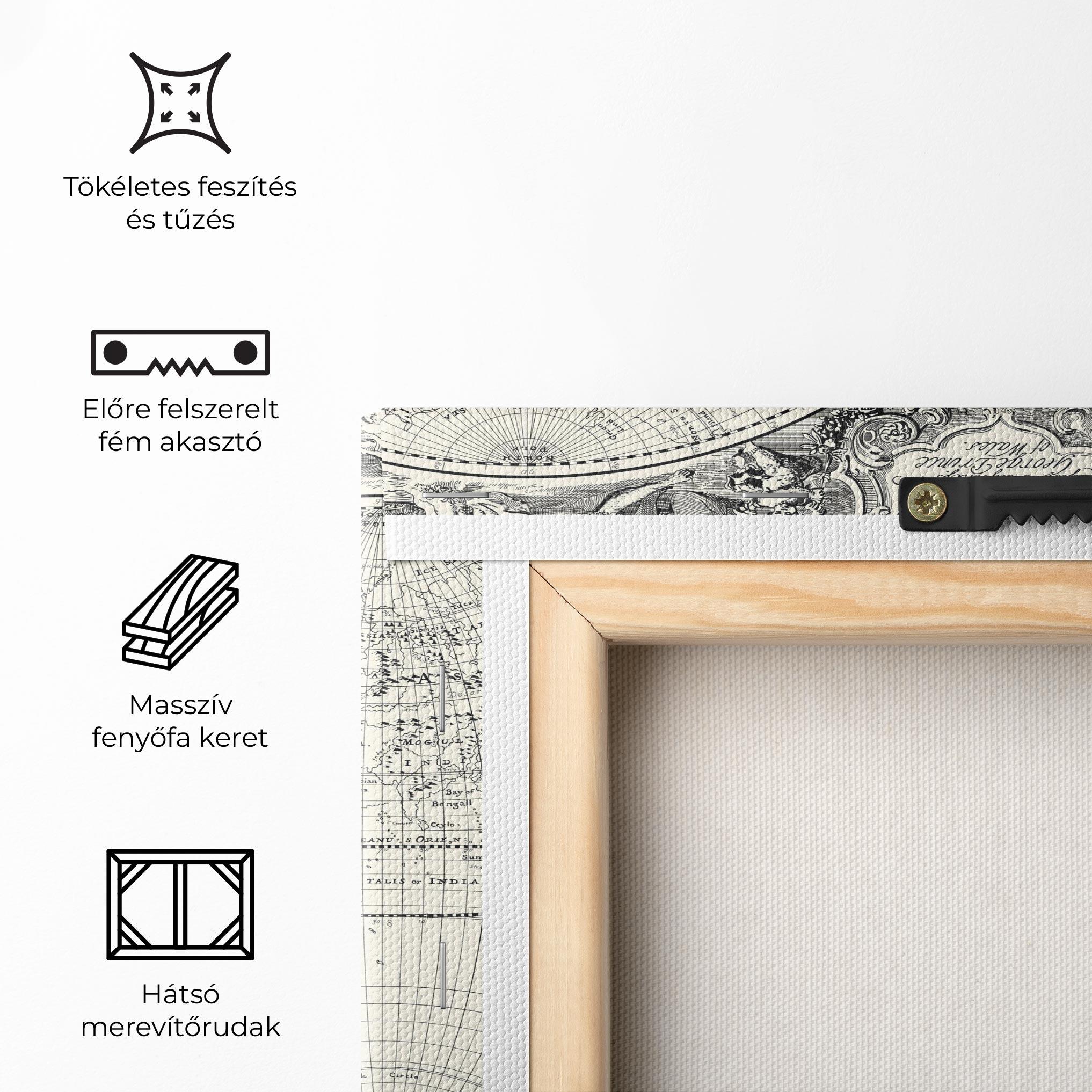 Vászonkép Black White Map mockup 5