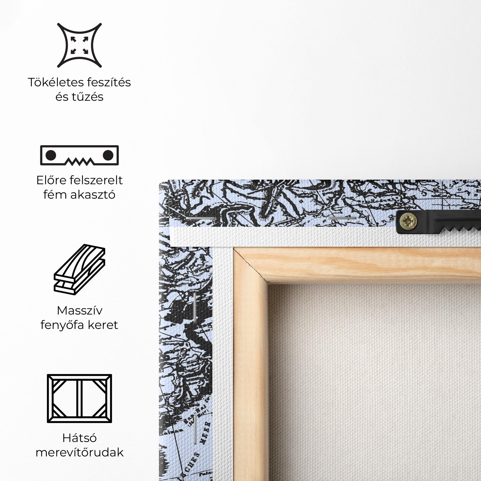 Vászonkép Blue Old Map mockup 5