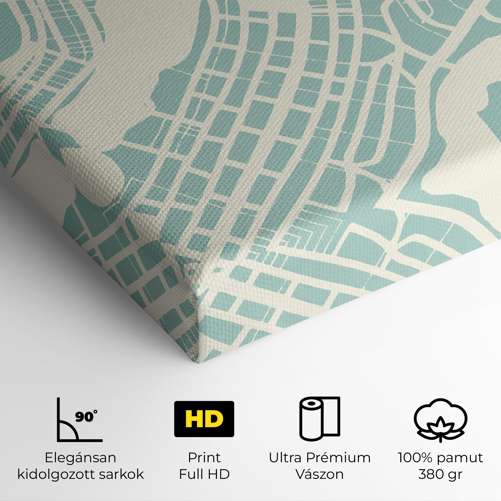 Vászonkép Brasilia Map mockup 4