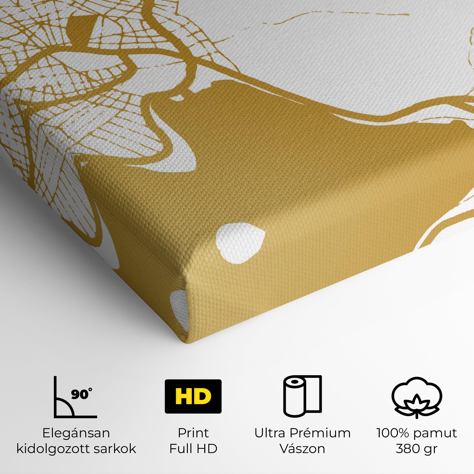 Vászonkép Chalcis Gold Map mockup 4