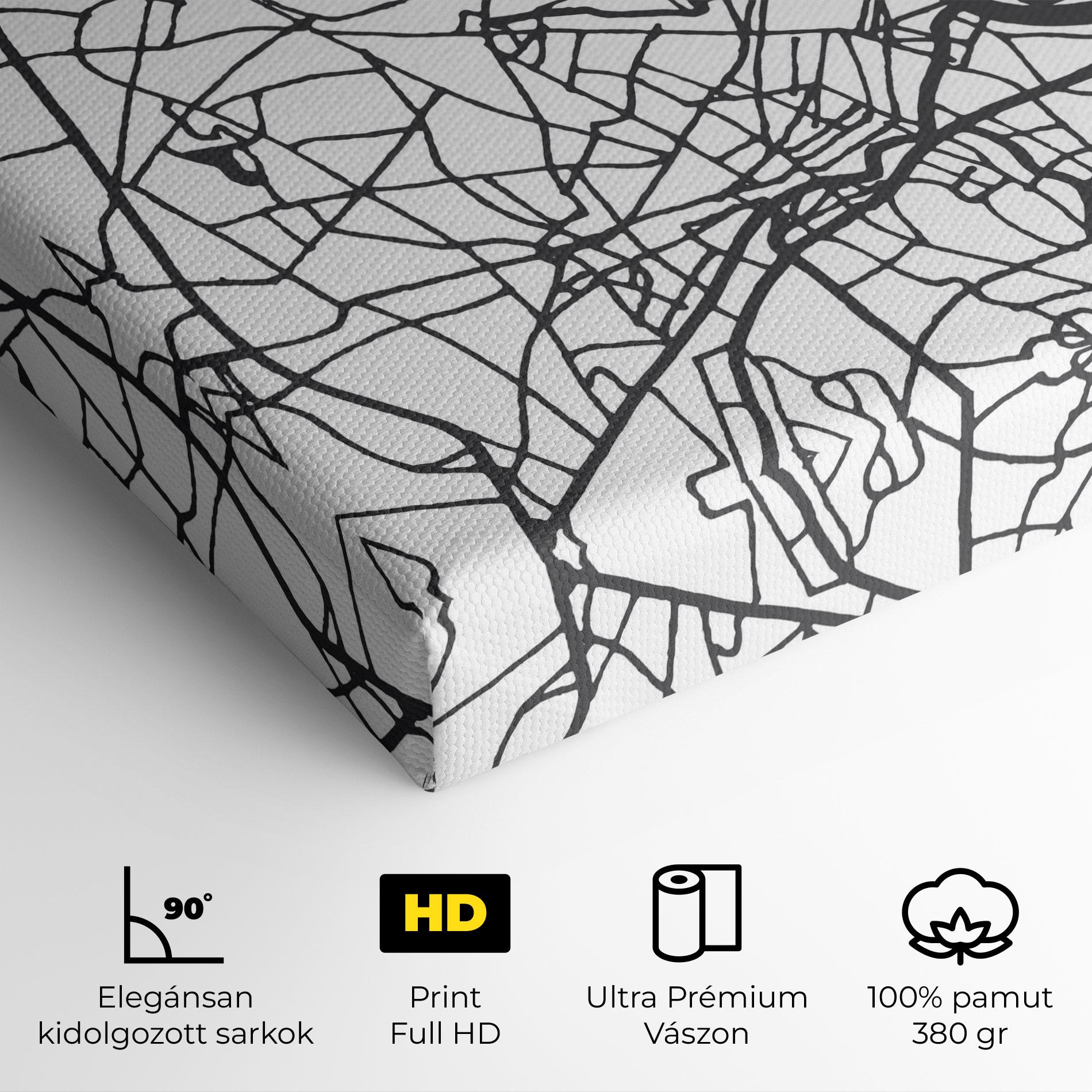 Vászonkép Ho Chi Minh Map mockup 4