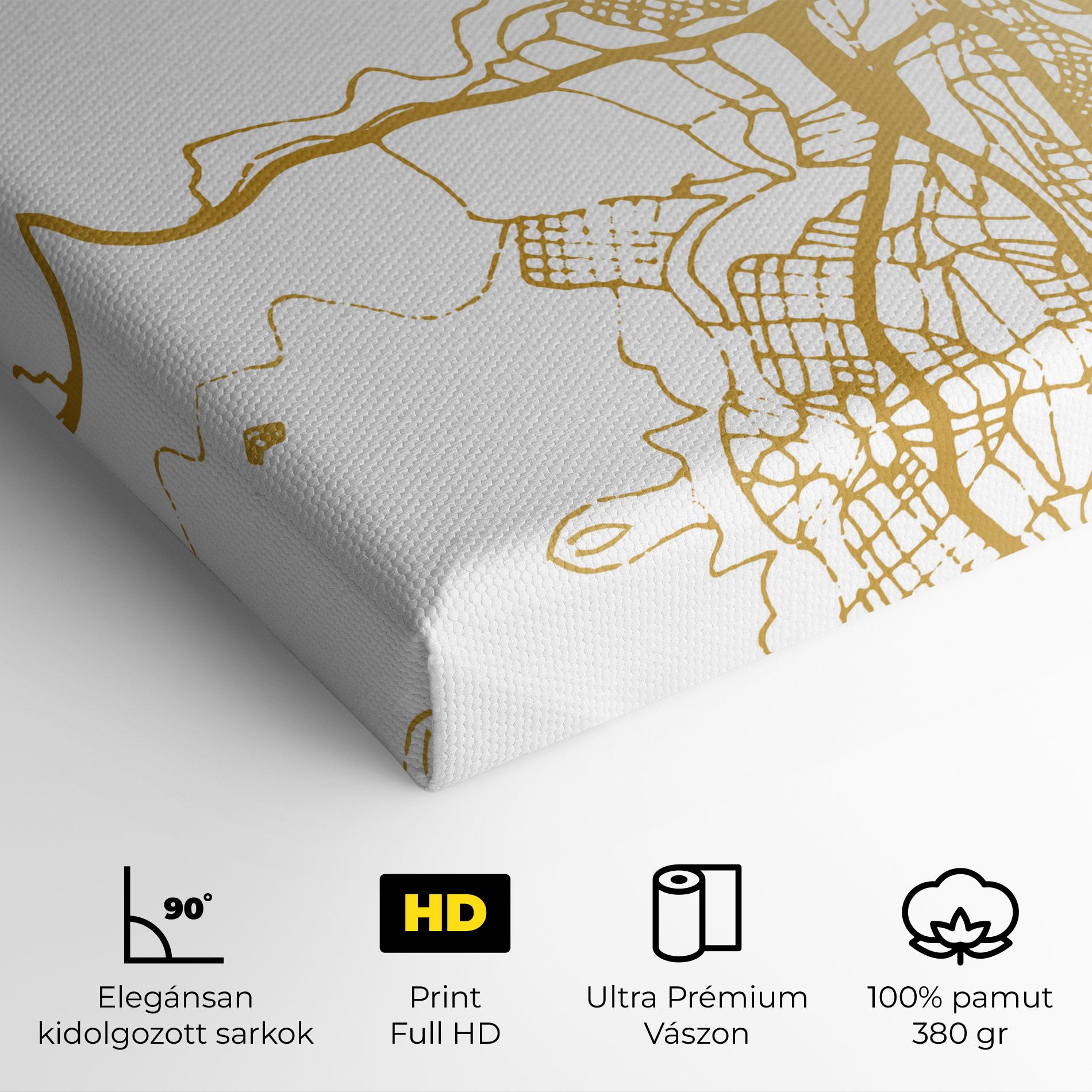 Vászonkép Las Palmas Gold Map mockup 4