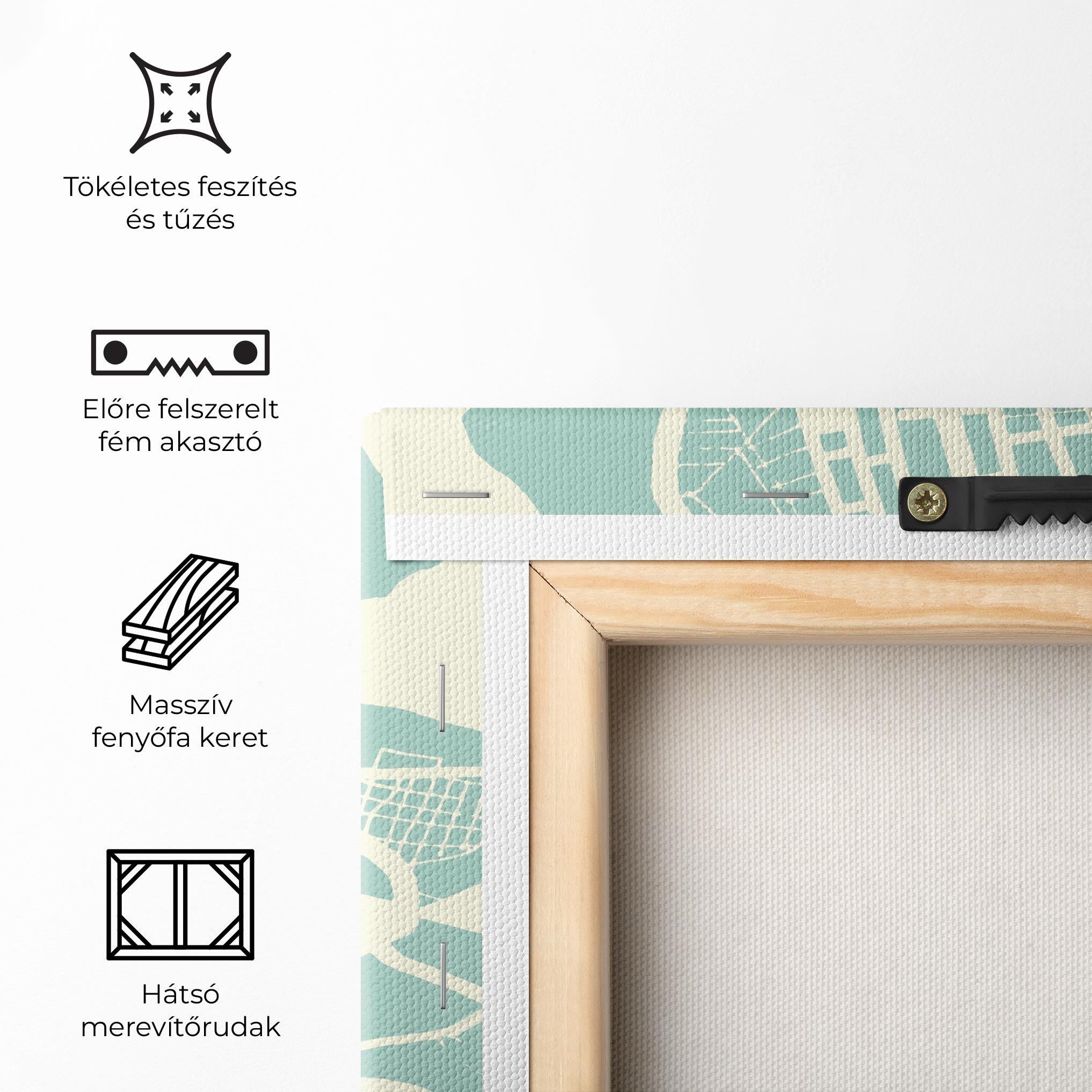 Vászonkép Brasilia Map mockup 5