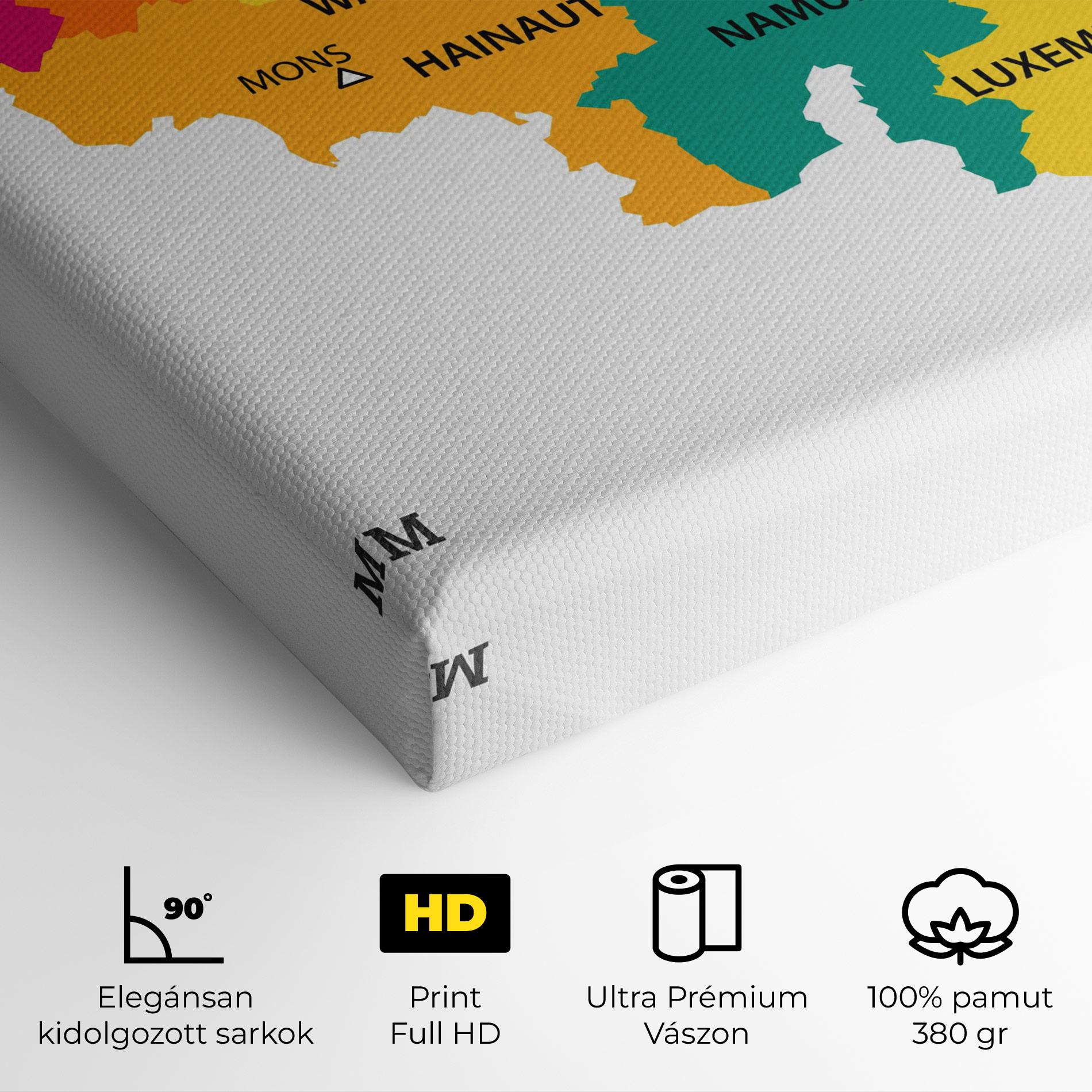 Vászonkép Belgium Color Map mockup 4