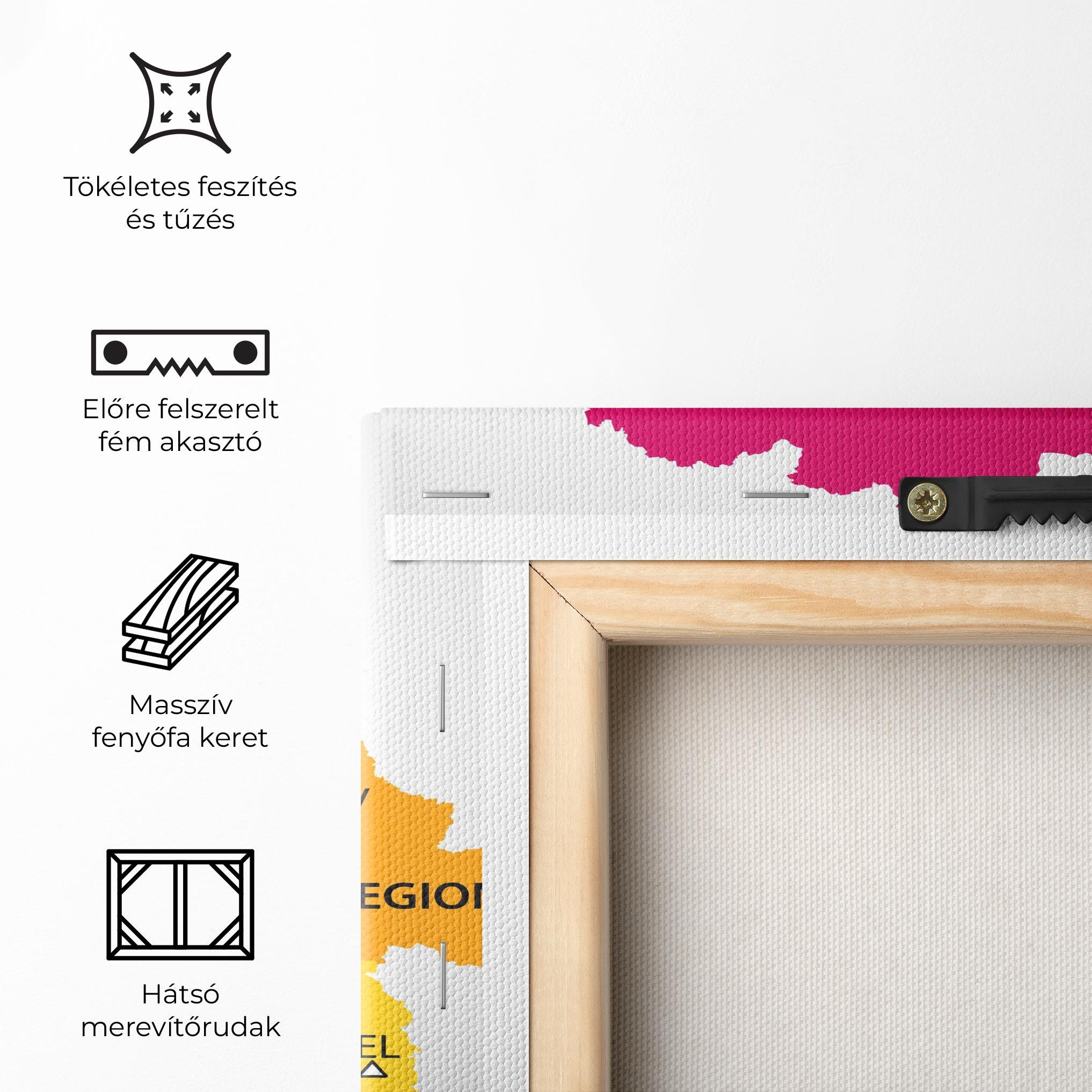 Vászonkép Belarus Color Map mockup 5