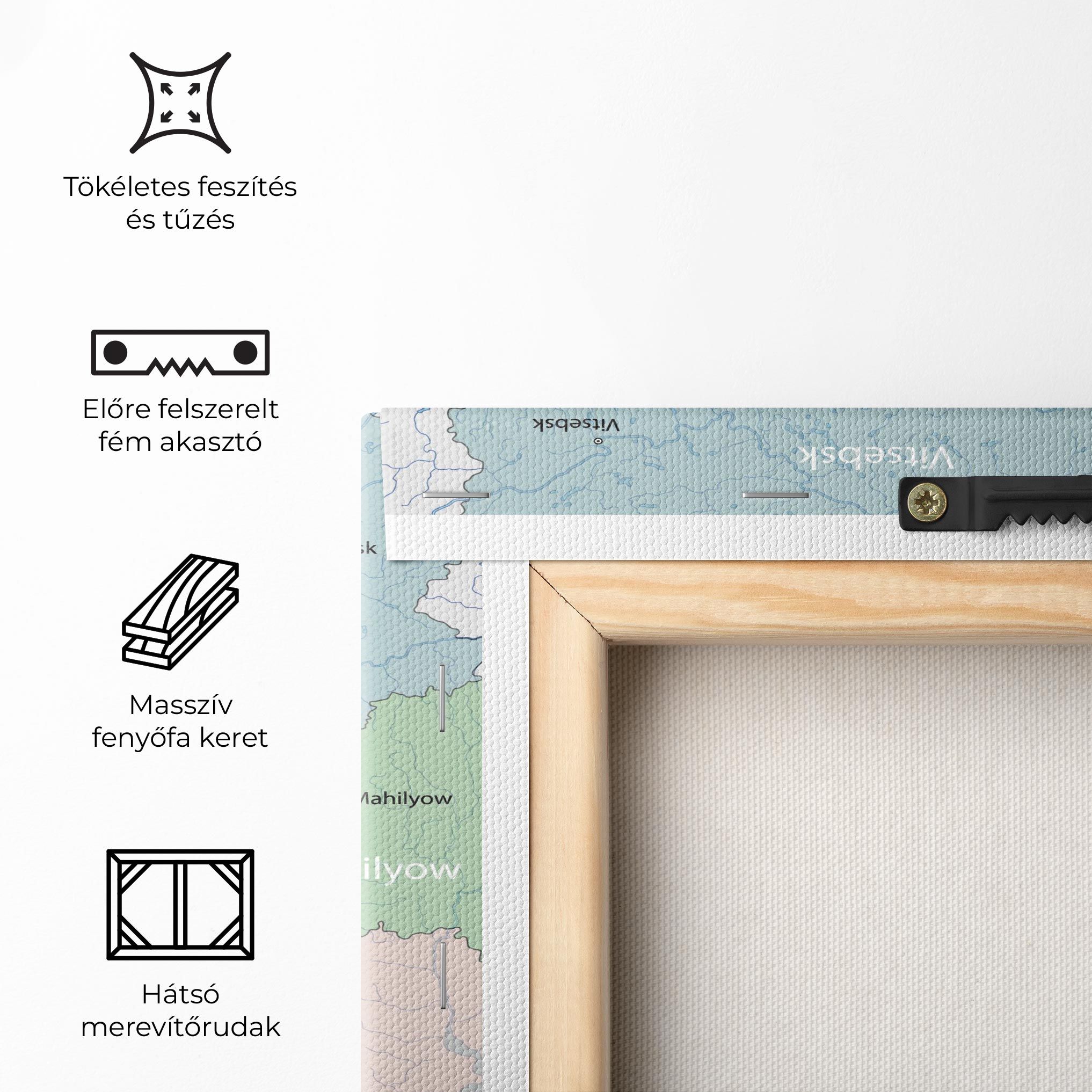 Belarus Map mockup 5