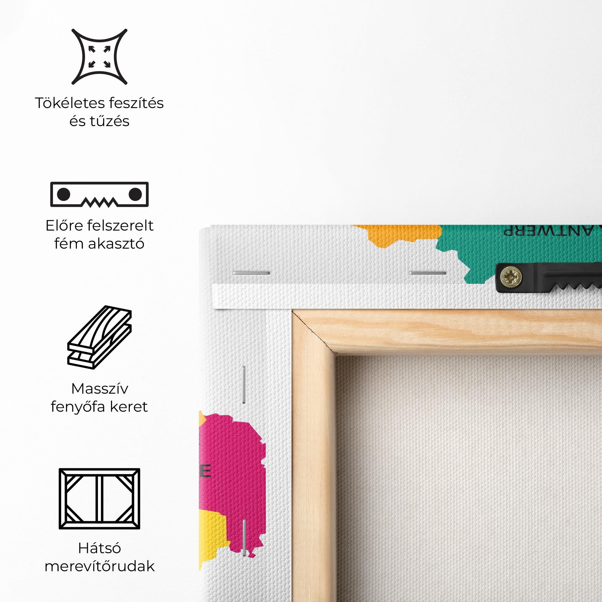 Vászonkép Belgium Color Map mockup 5