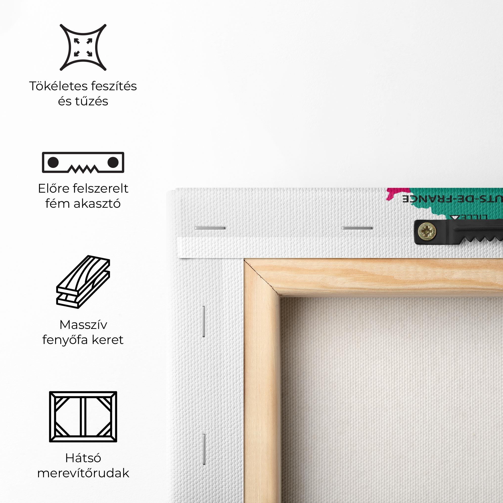 Vászonkép France Color Map mockup 5