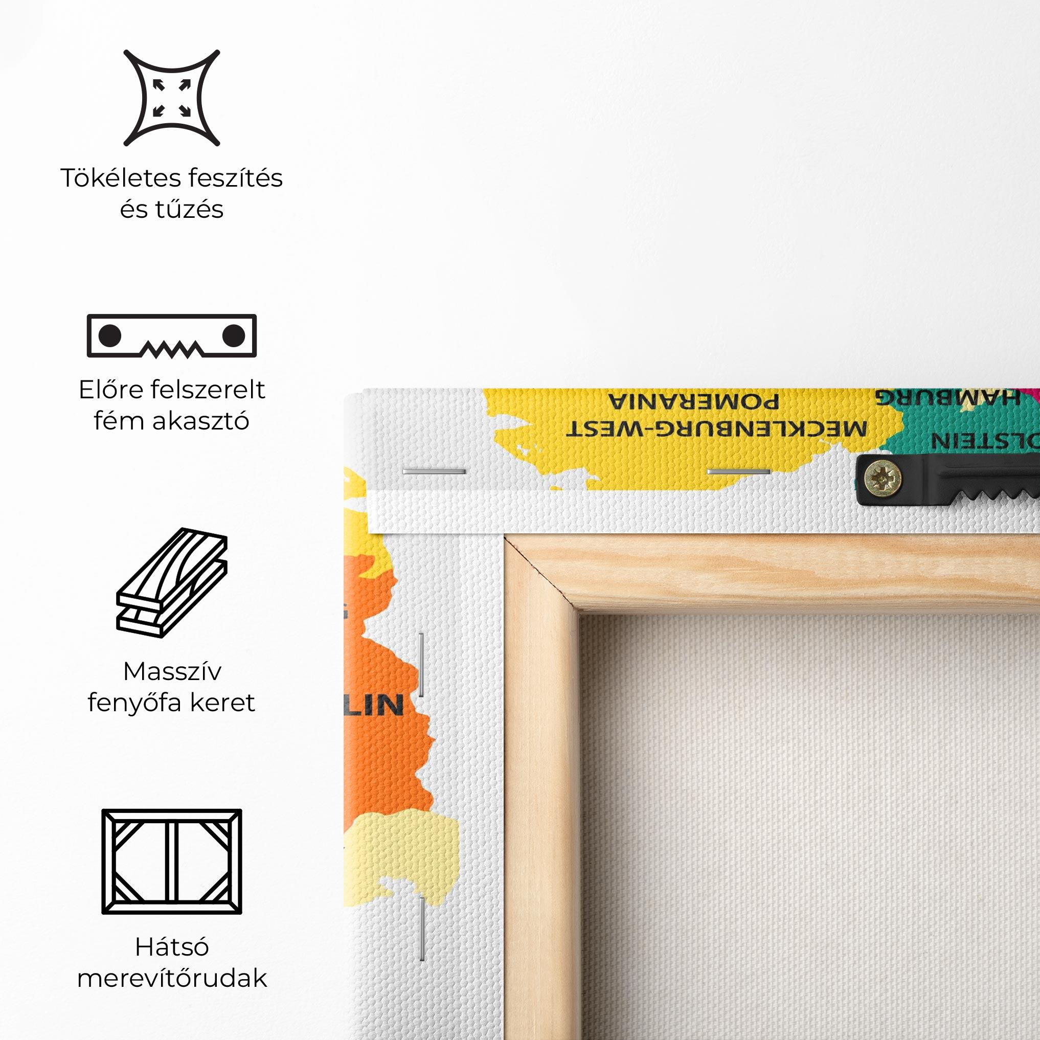 Vászonkép Germany Color Map mockup 5