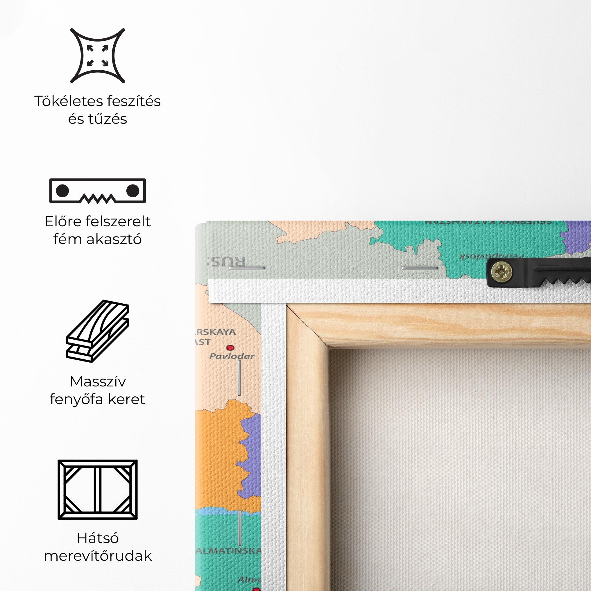 Vászonkép Kazakhstan Color Map mockup 5