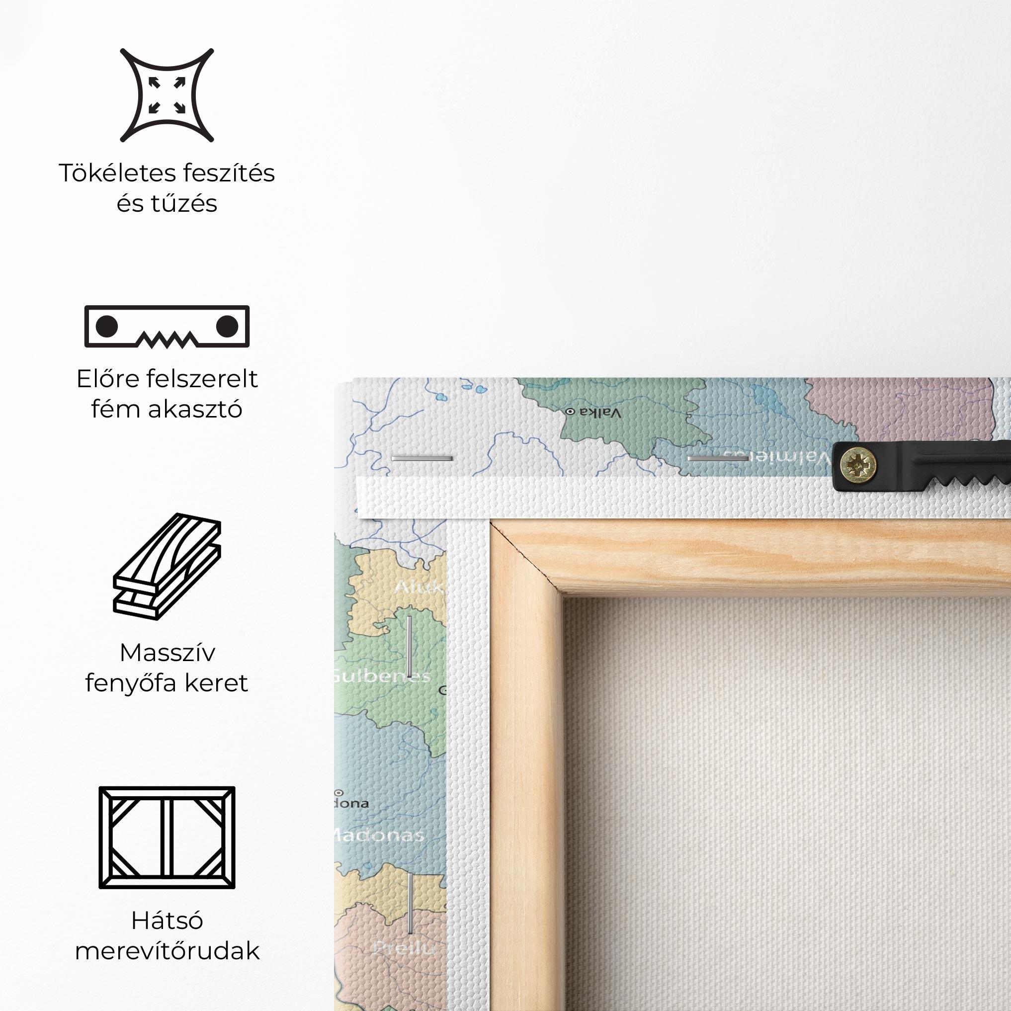 Vászonkép Latvia Color Map mockup 5