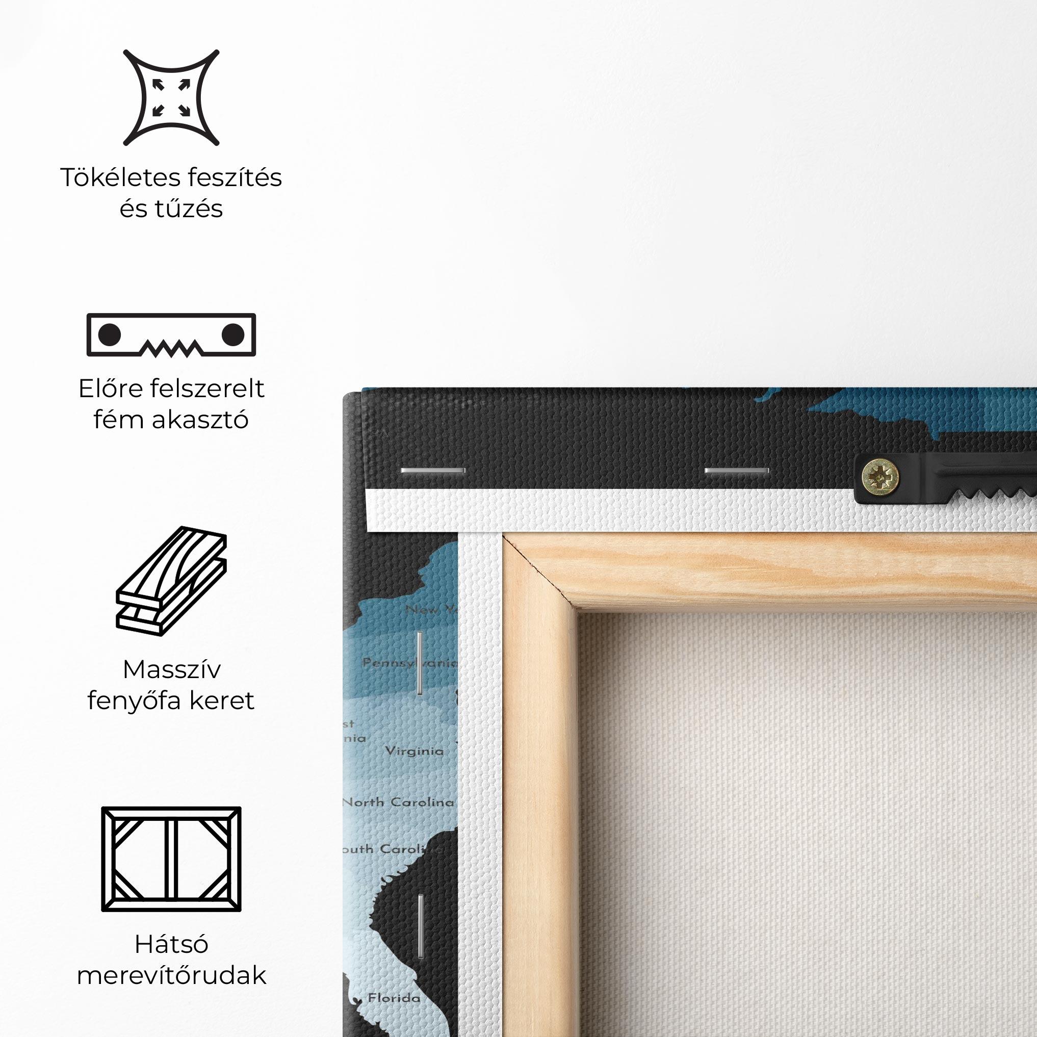 Vászonkép Sua Blue Map mockup 5