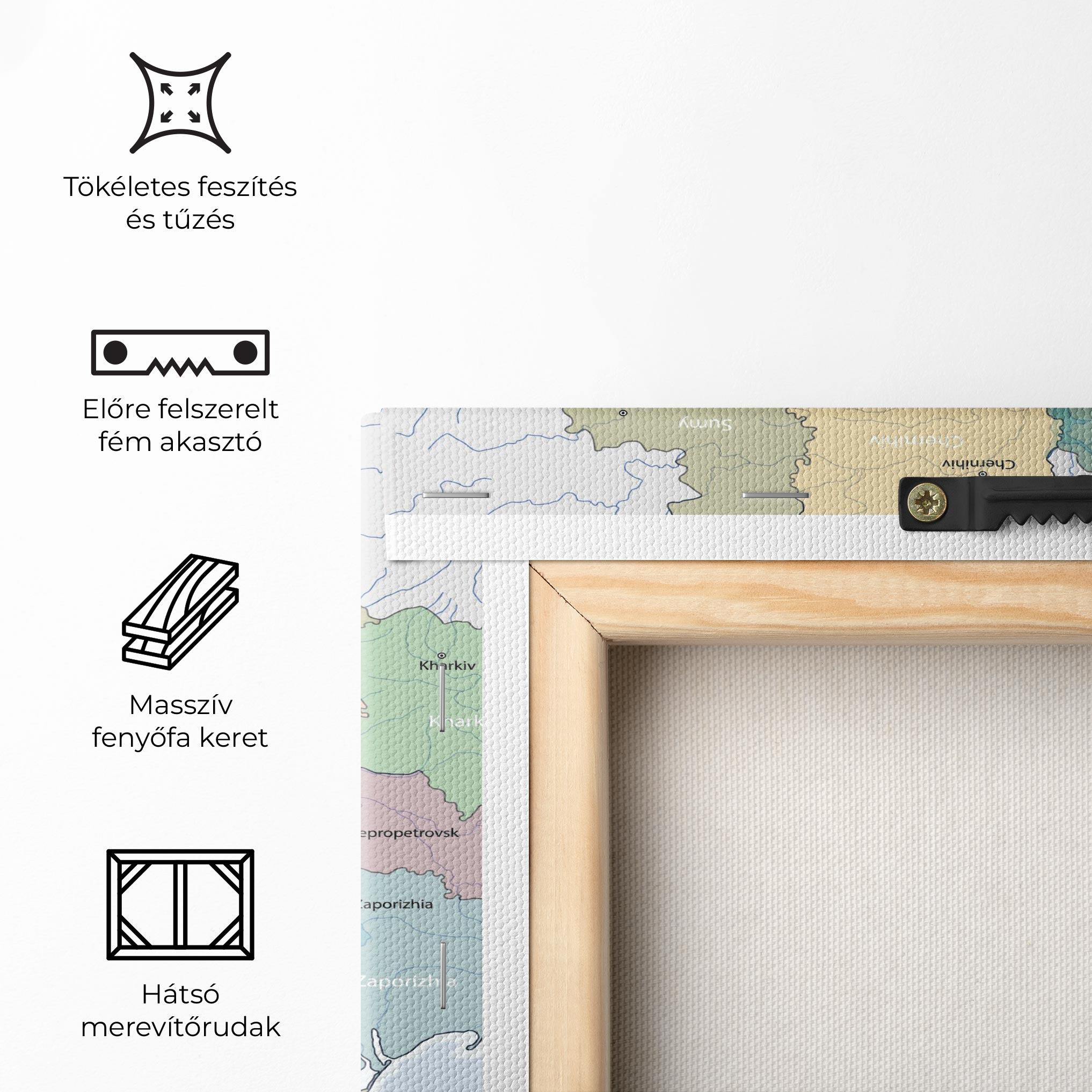 Vászonkép Ukraine Map mockup 5