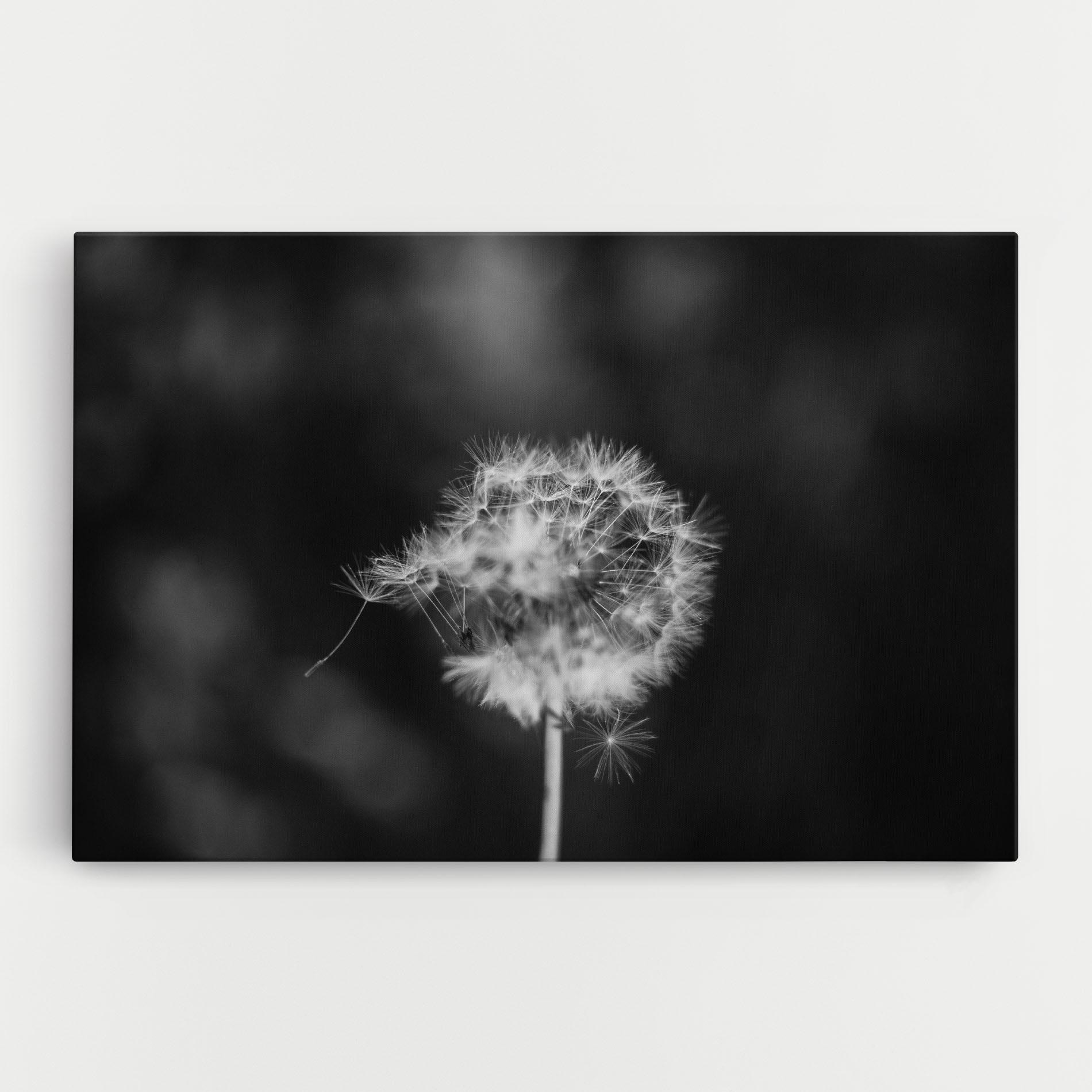 Vászonkép Grey Dandelion mockup 0