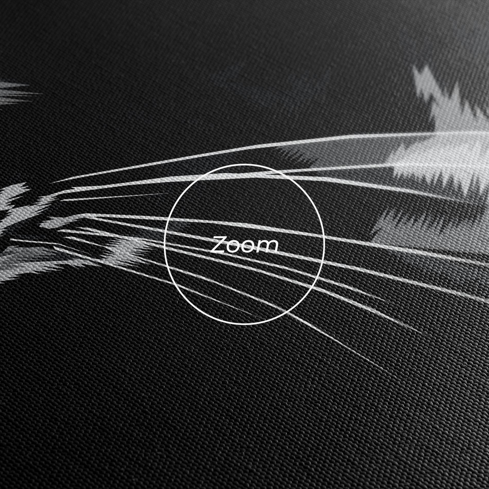 Vászonkép Black Grey Cat mockup 3
